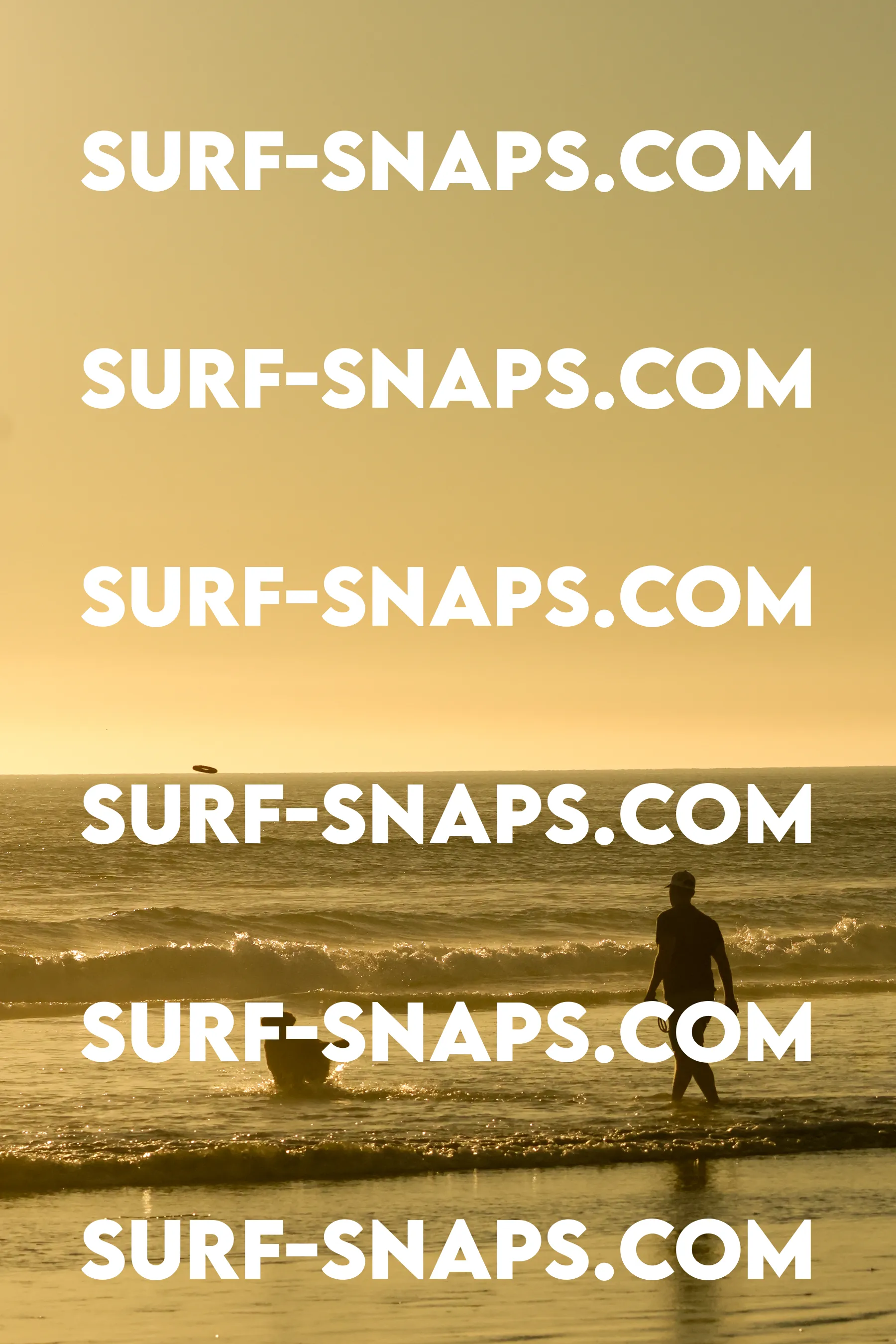 Tourmaline Surfing Park photo 256