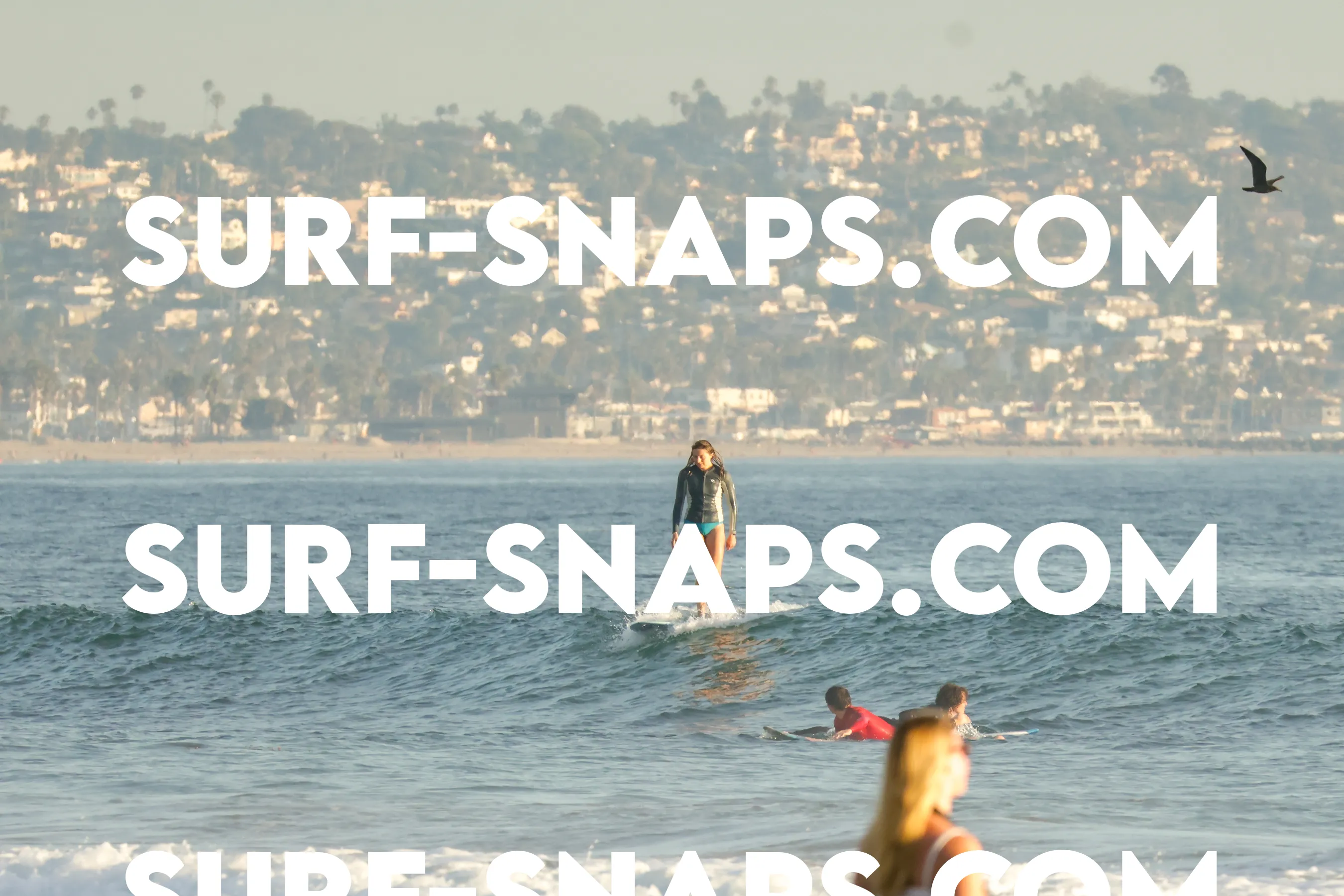 Tourmaline Surfing Park photo 299