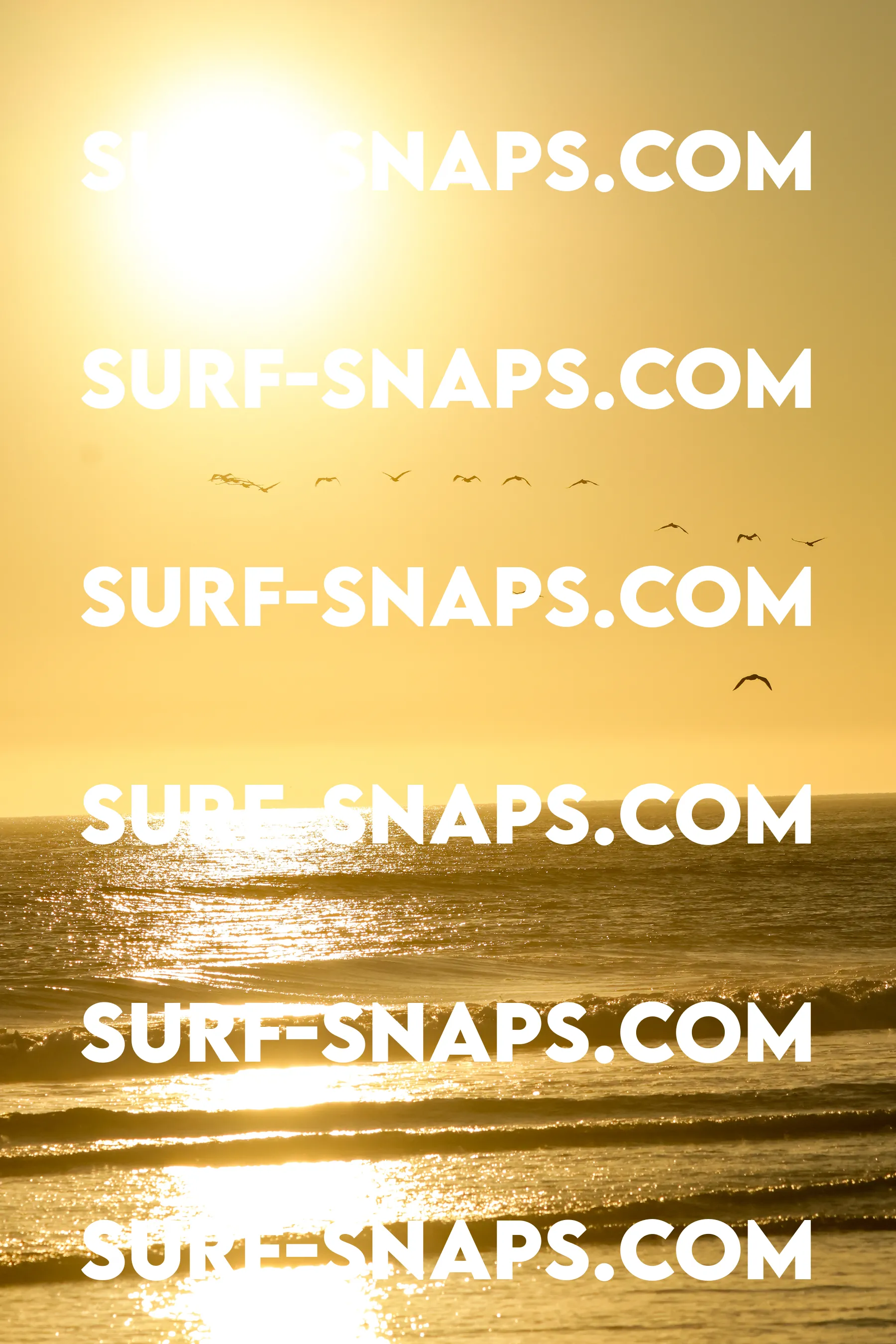 Tourmaline Surfing Park photo 378