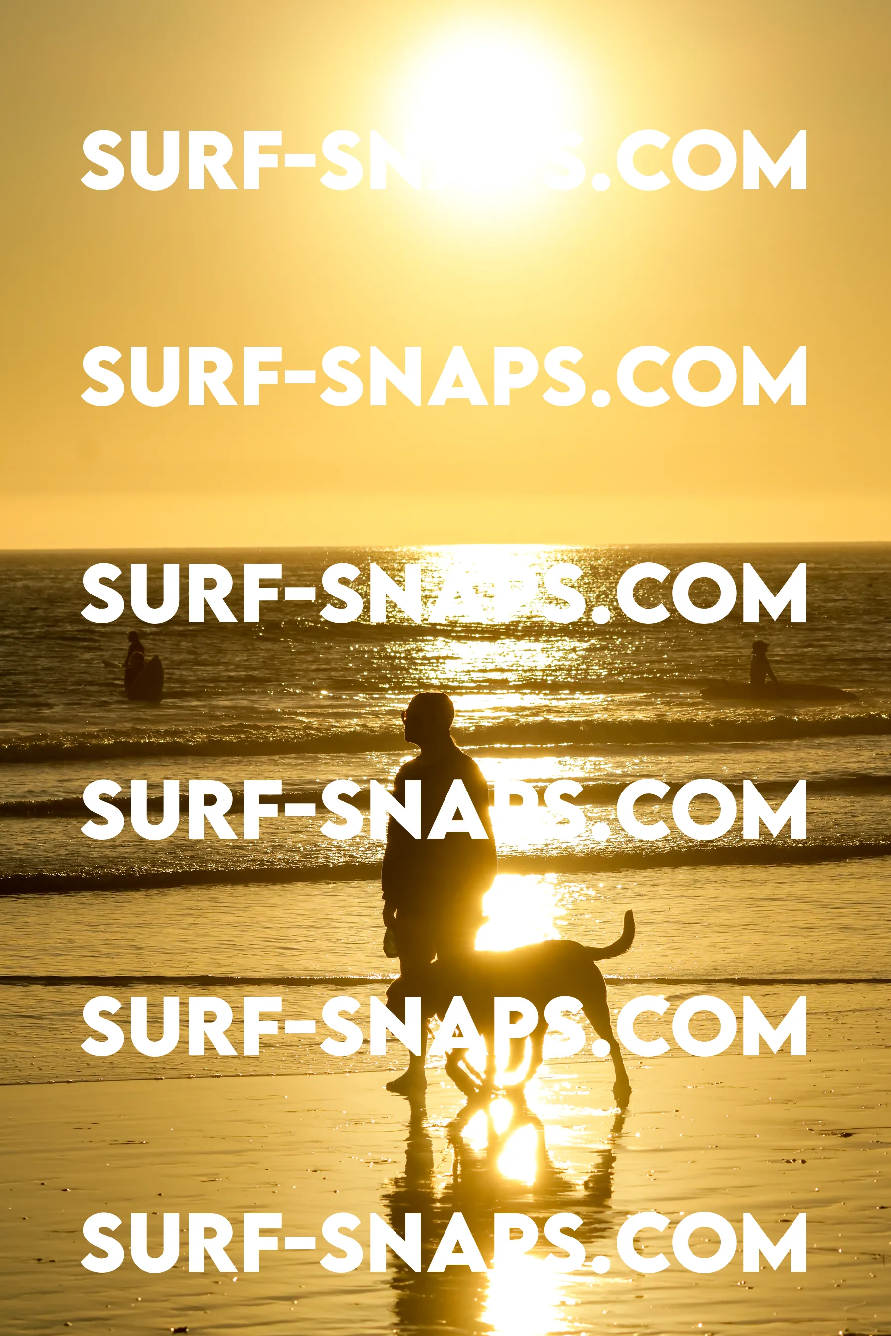 Tourmaline Surfing Park photo 382