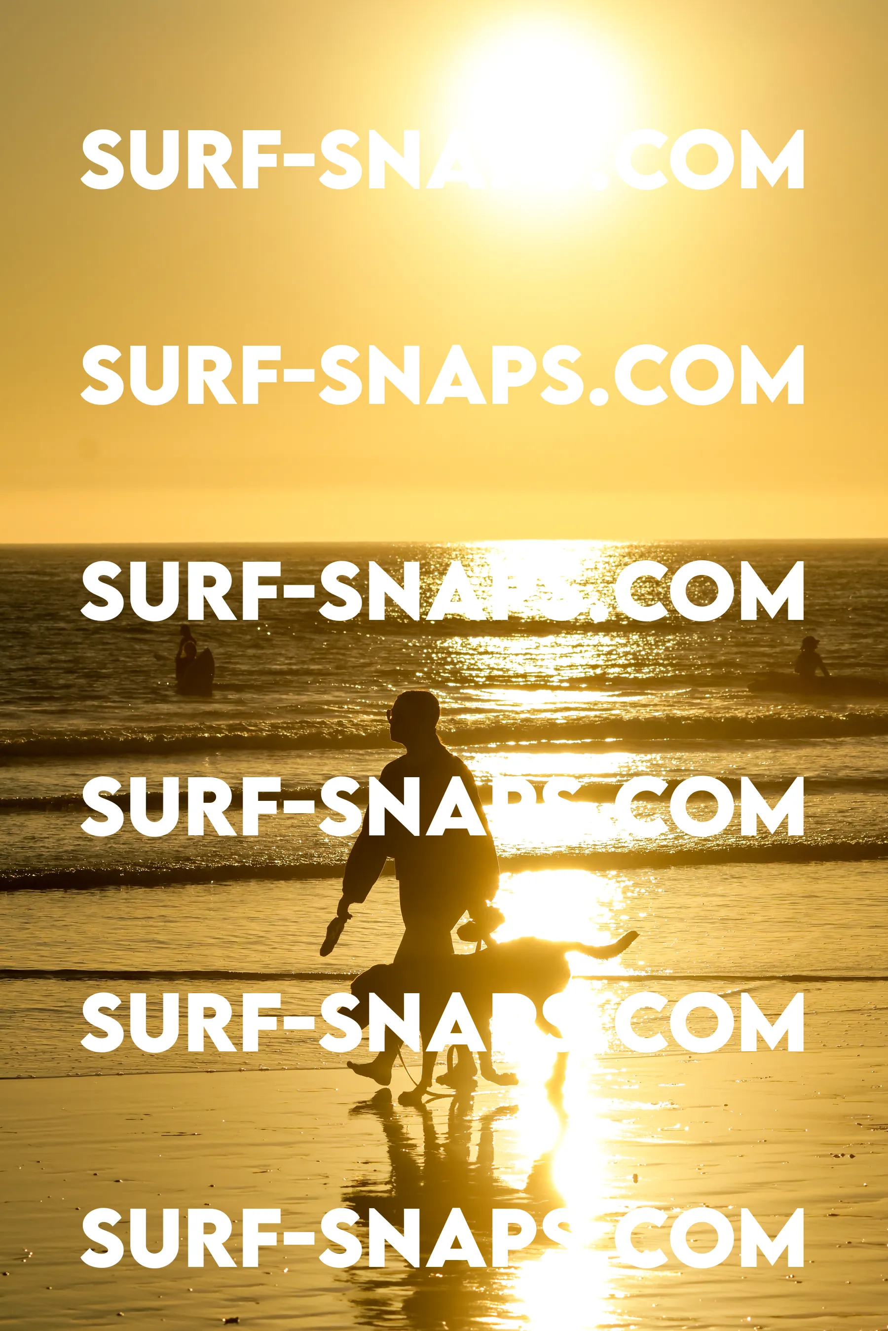 Tourmaline Surfing Park photo 384