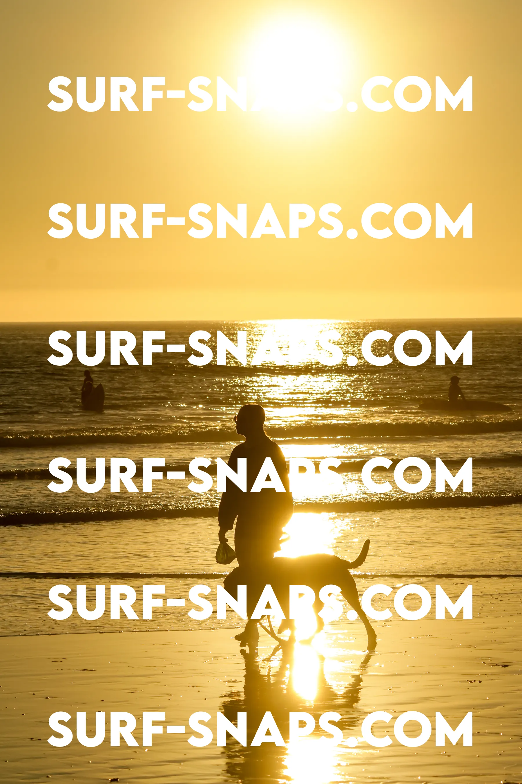 Tourmaline Surfing Park photo 383