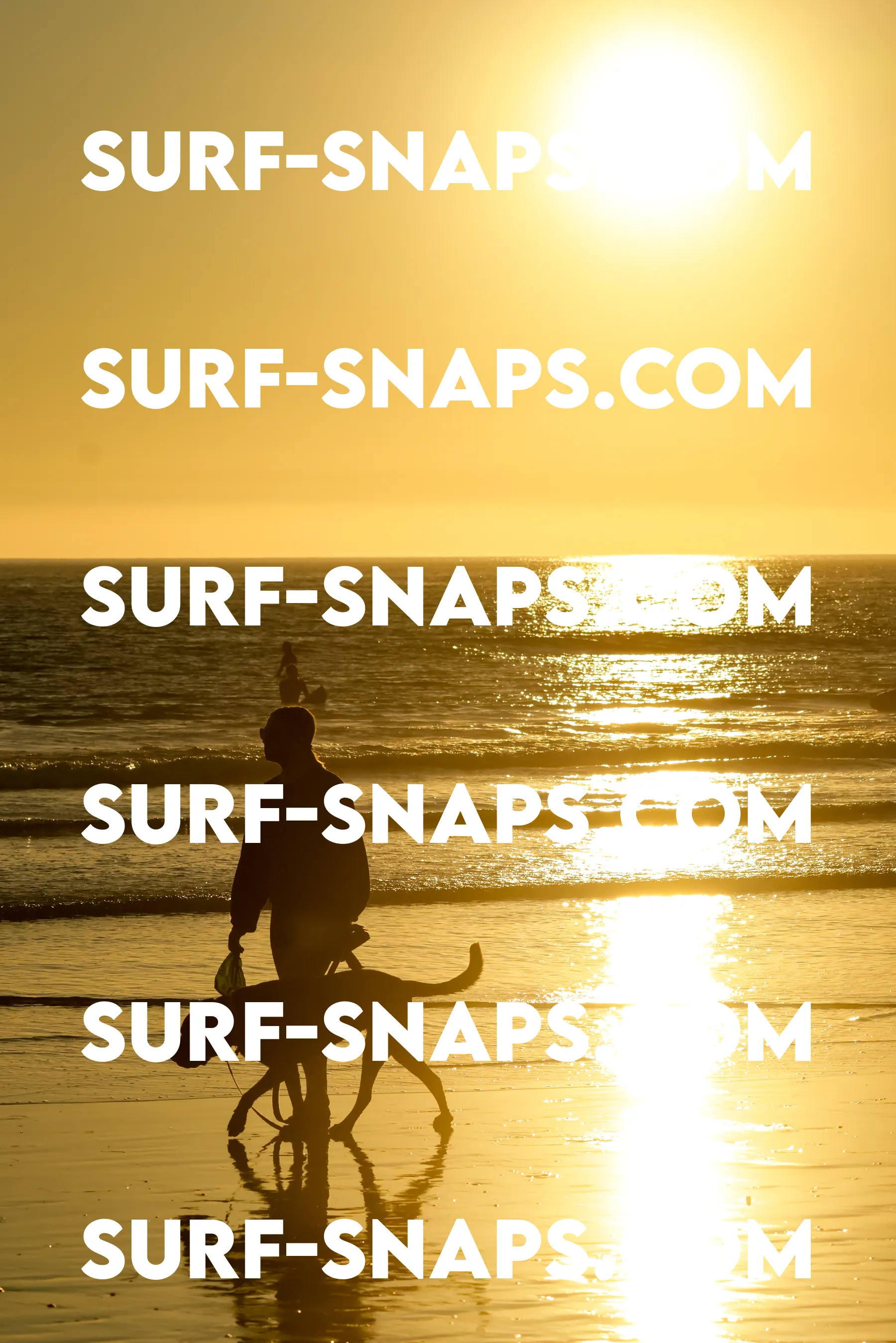 Tourmaline Surfing Park photo 385