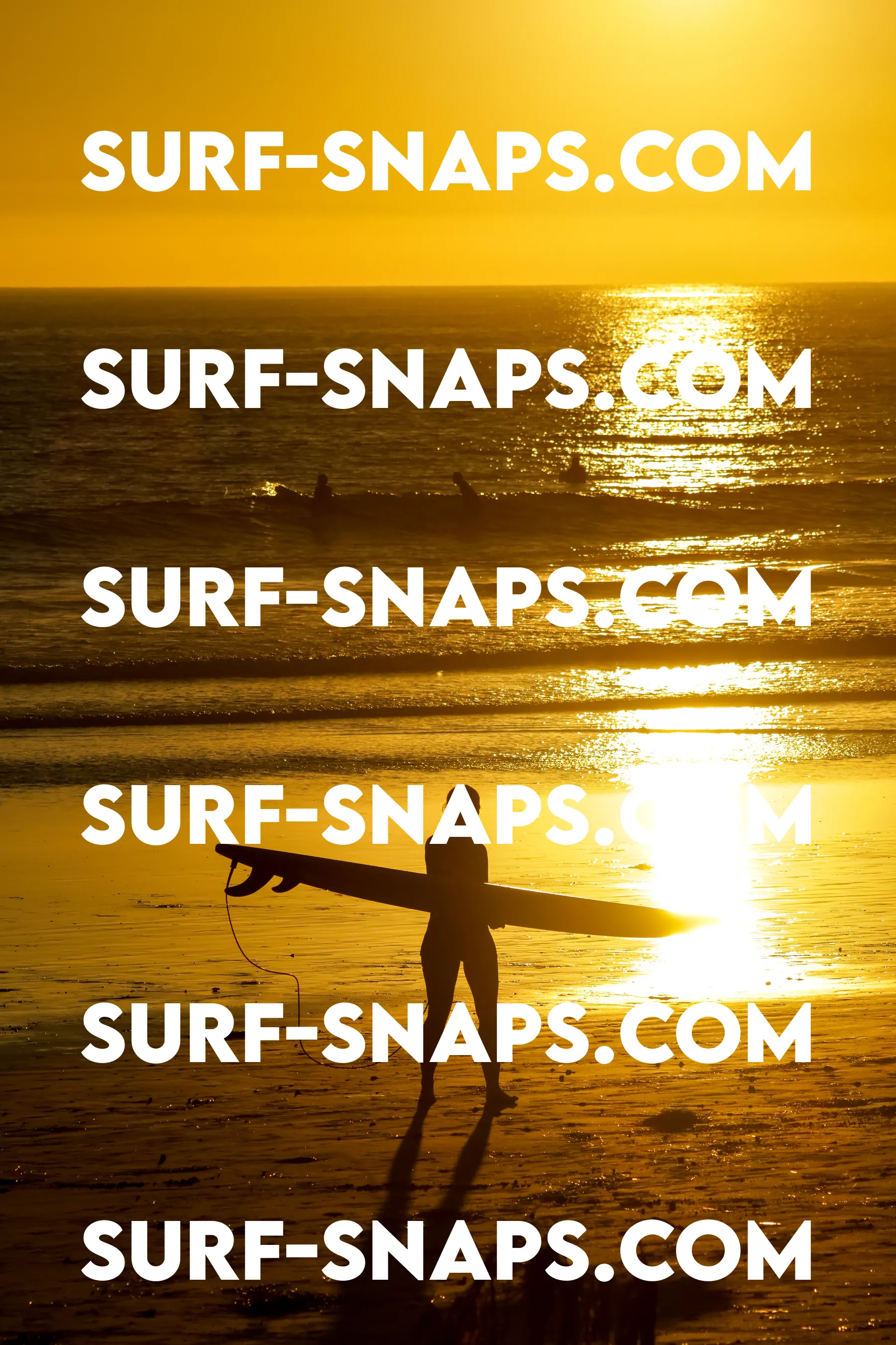 Tourmaline Surfing Park photo 400
