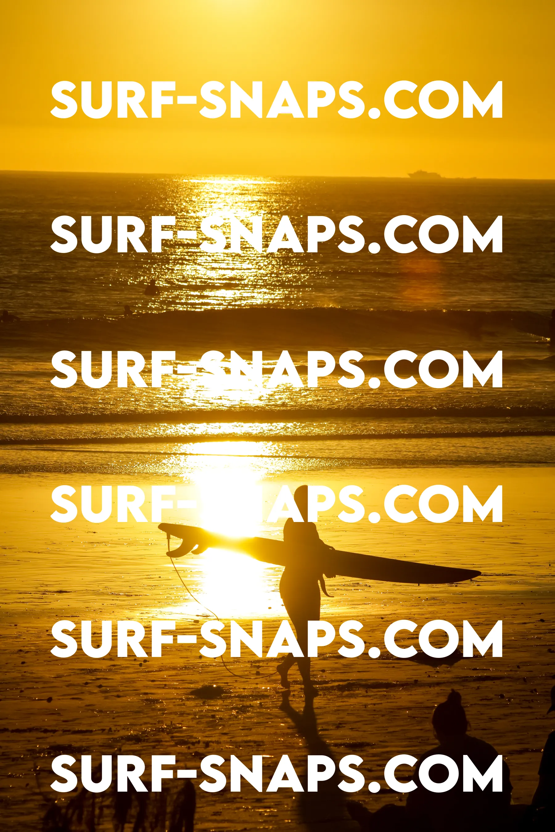 Tourmaline Surfing Park photo 405