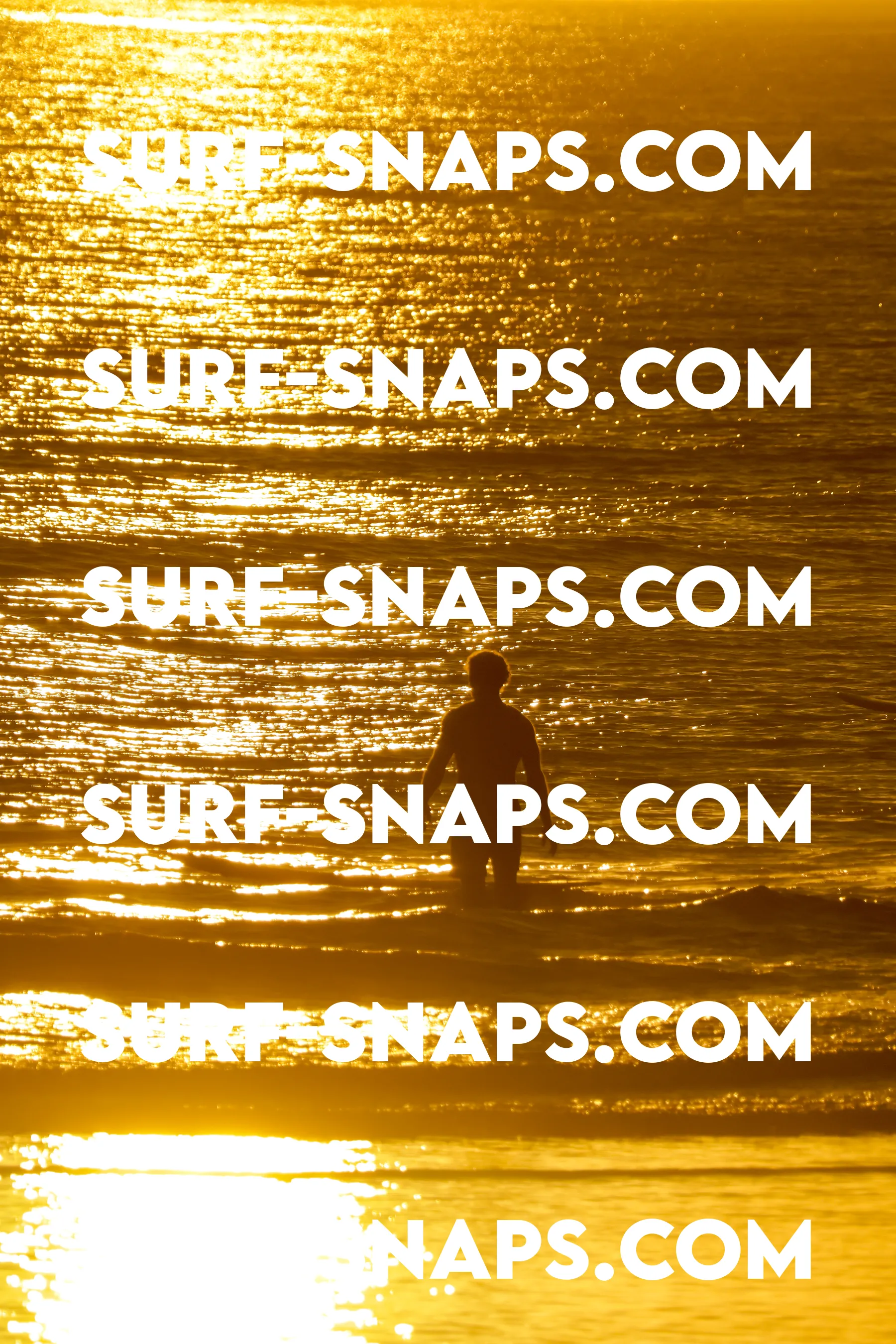 Tourmaline Surfing Park photo 411