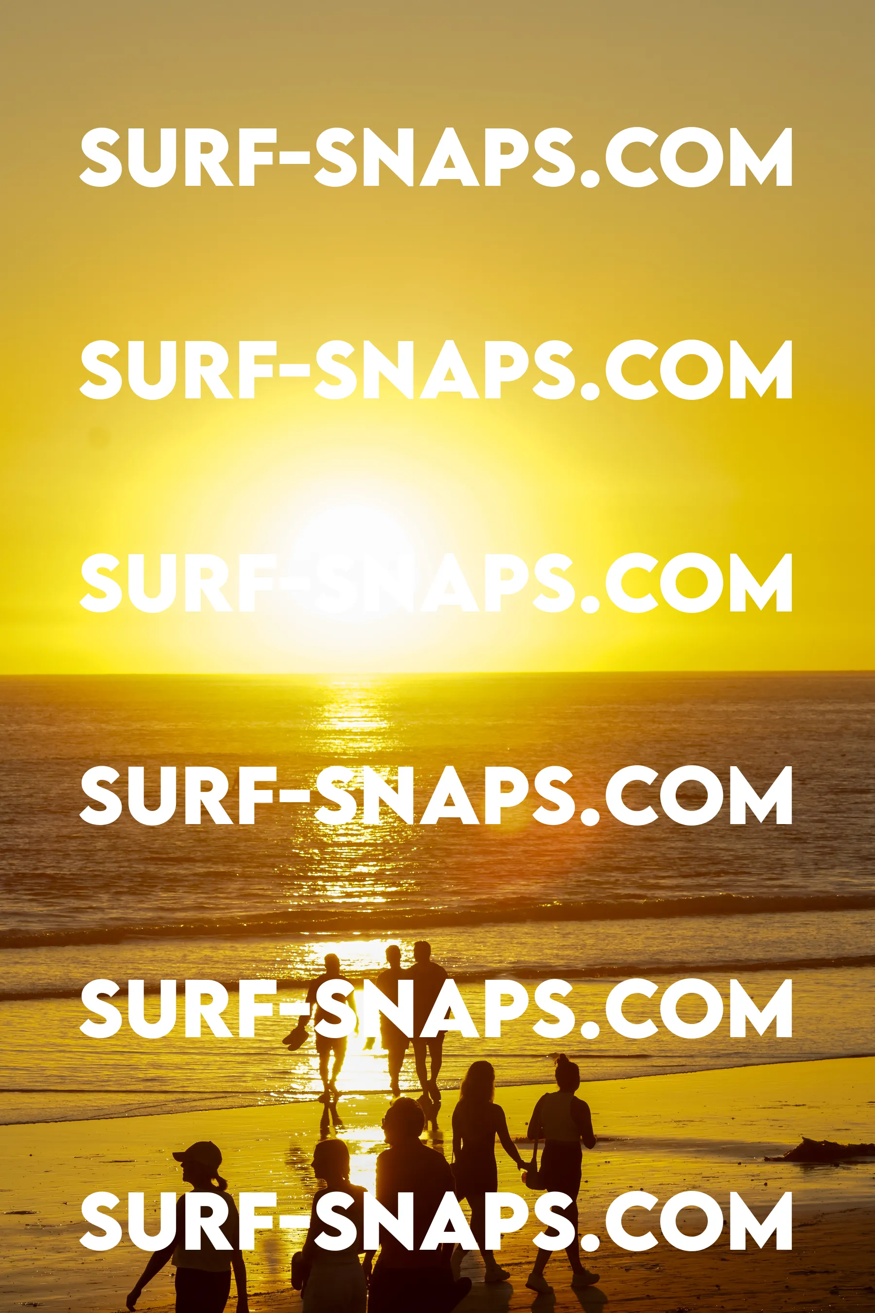 Tourmaline Surfing Park photo 426