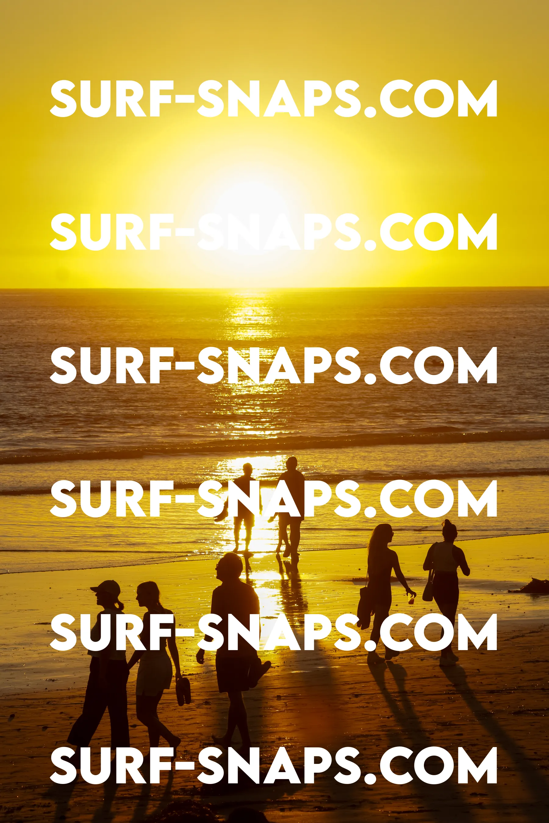 Tourmaline Surfing Park photo 427