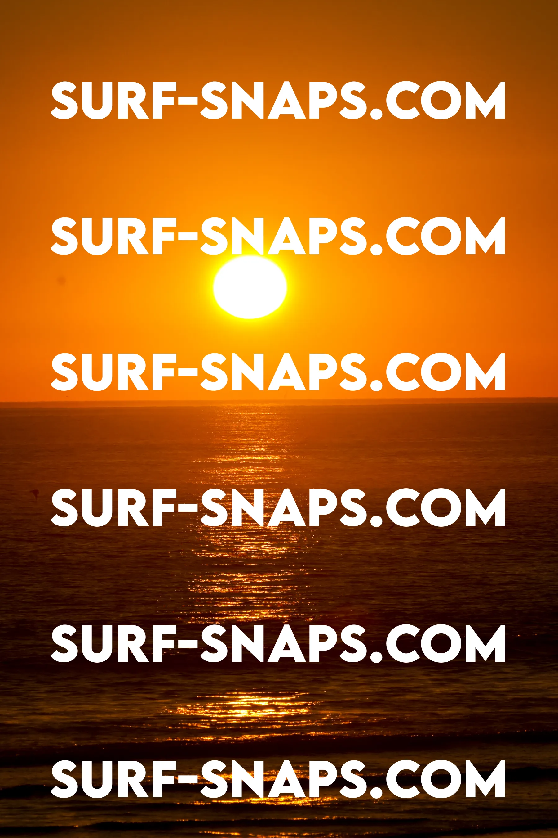 Tourmaline Surfing Park photo 428