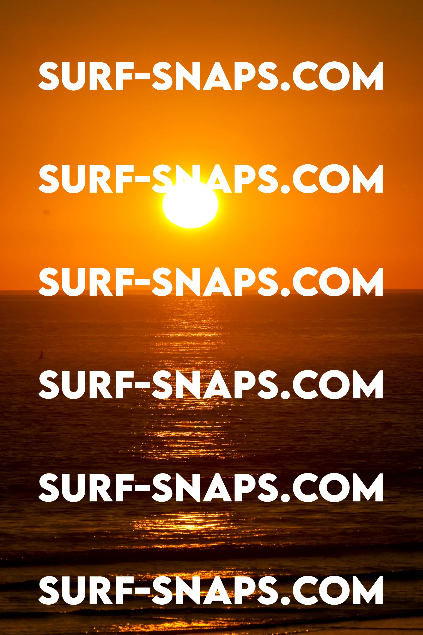 Tourmaline Surfing Park photo 429