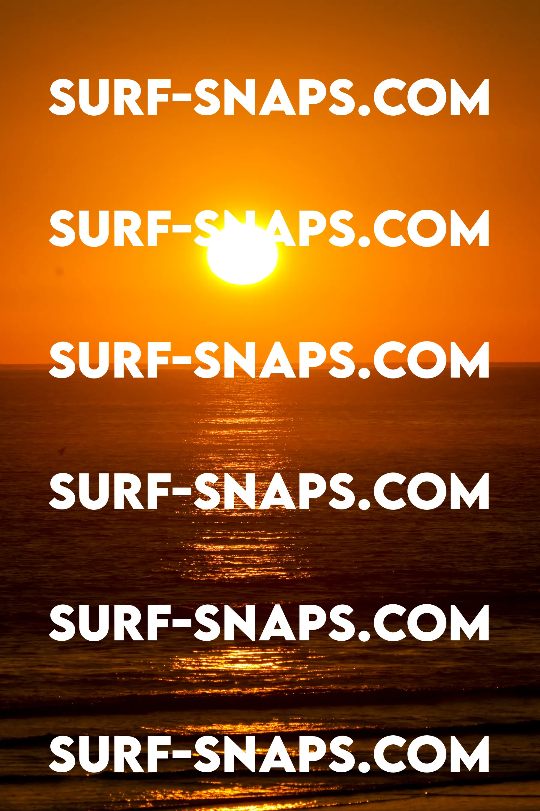 Tourmaline Surfing Park photo 430