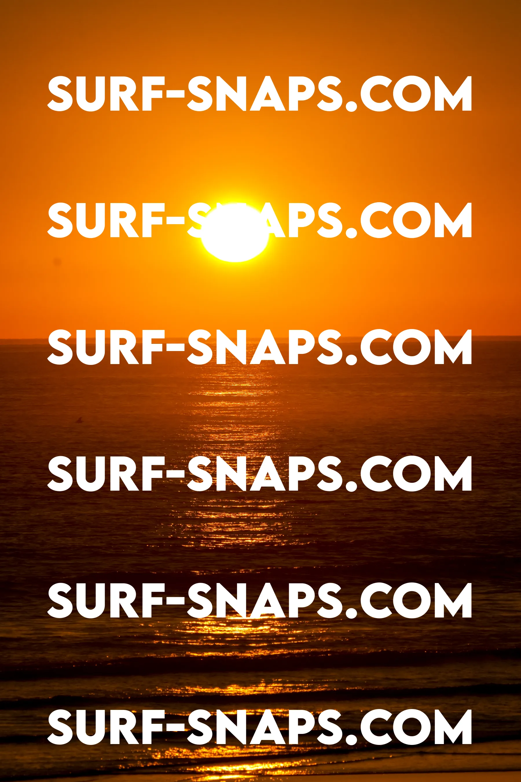 Tourmaline Surfing Park photo 431