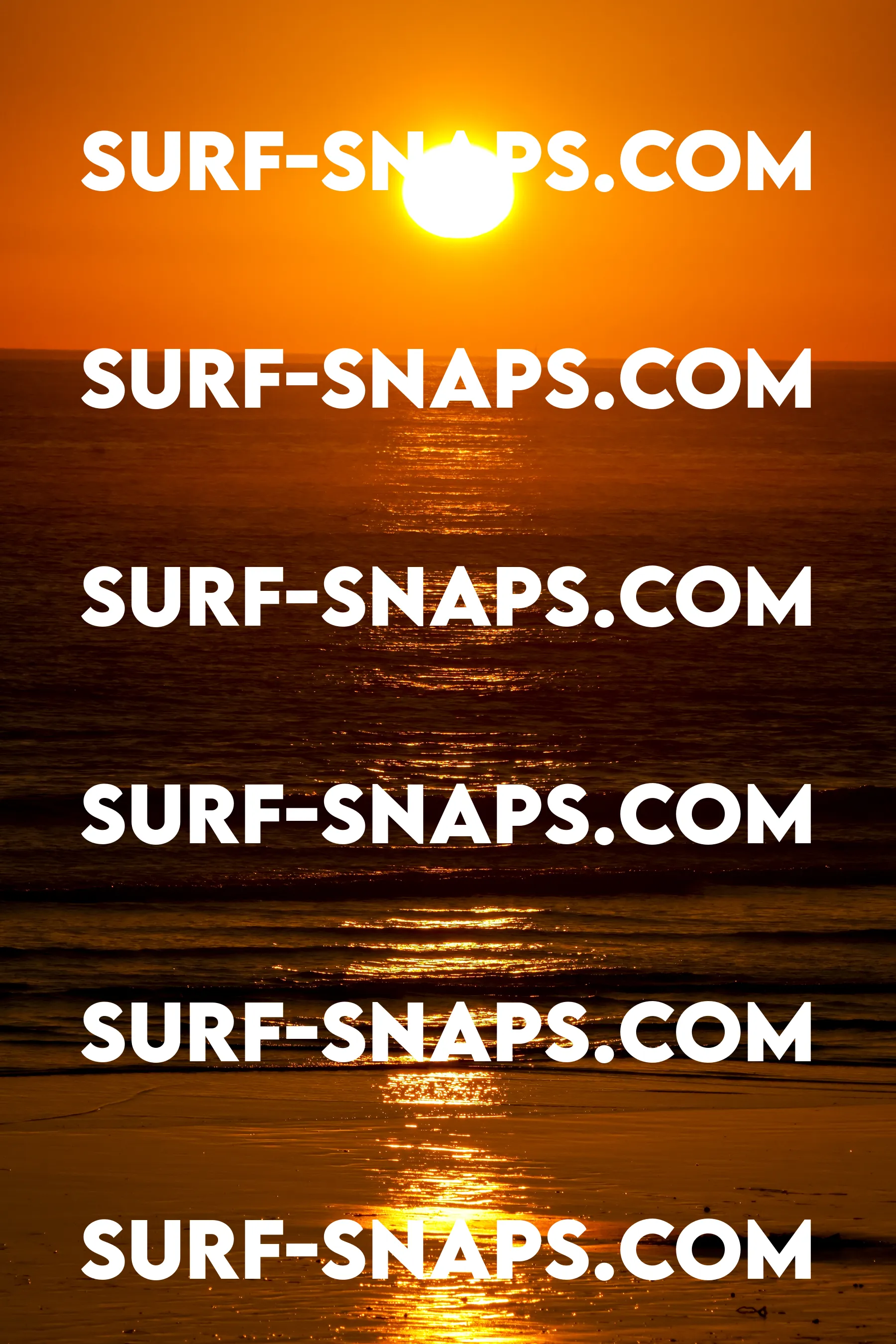Tourmaline Surfing Park photo 433