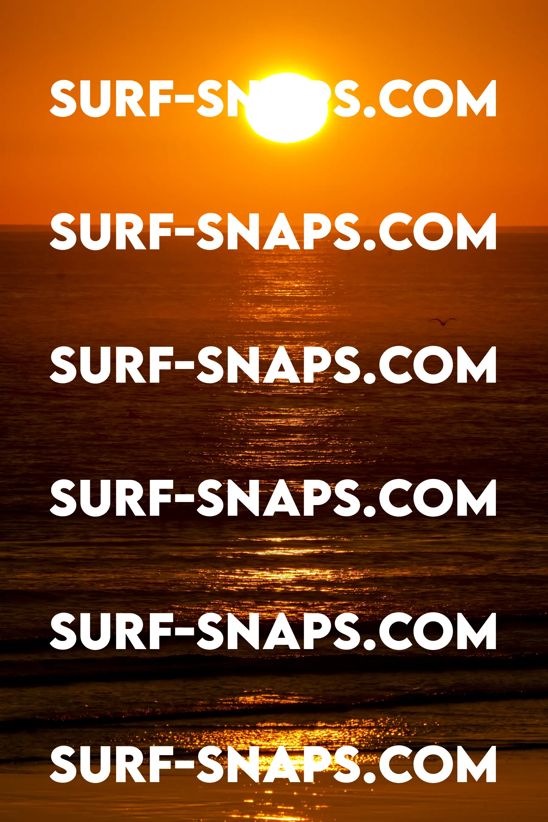 Tourmaline Surfing Park photo 434