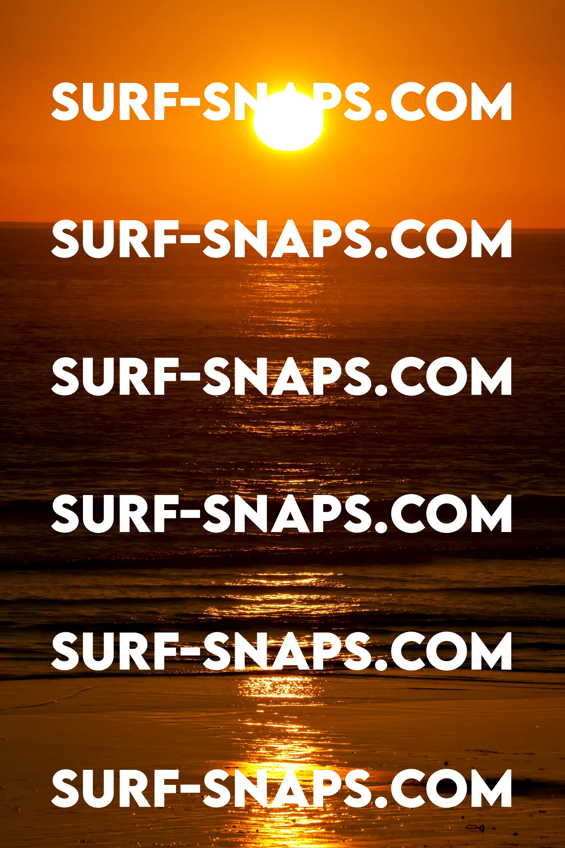 Tourmaline Surfing Park photo 432