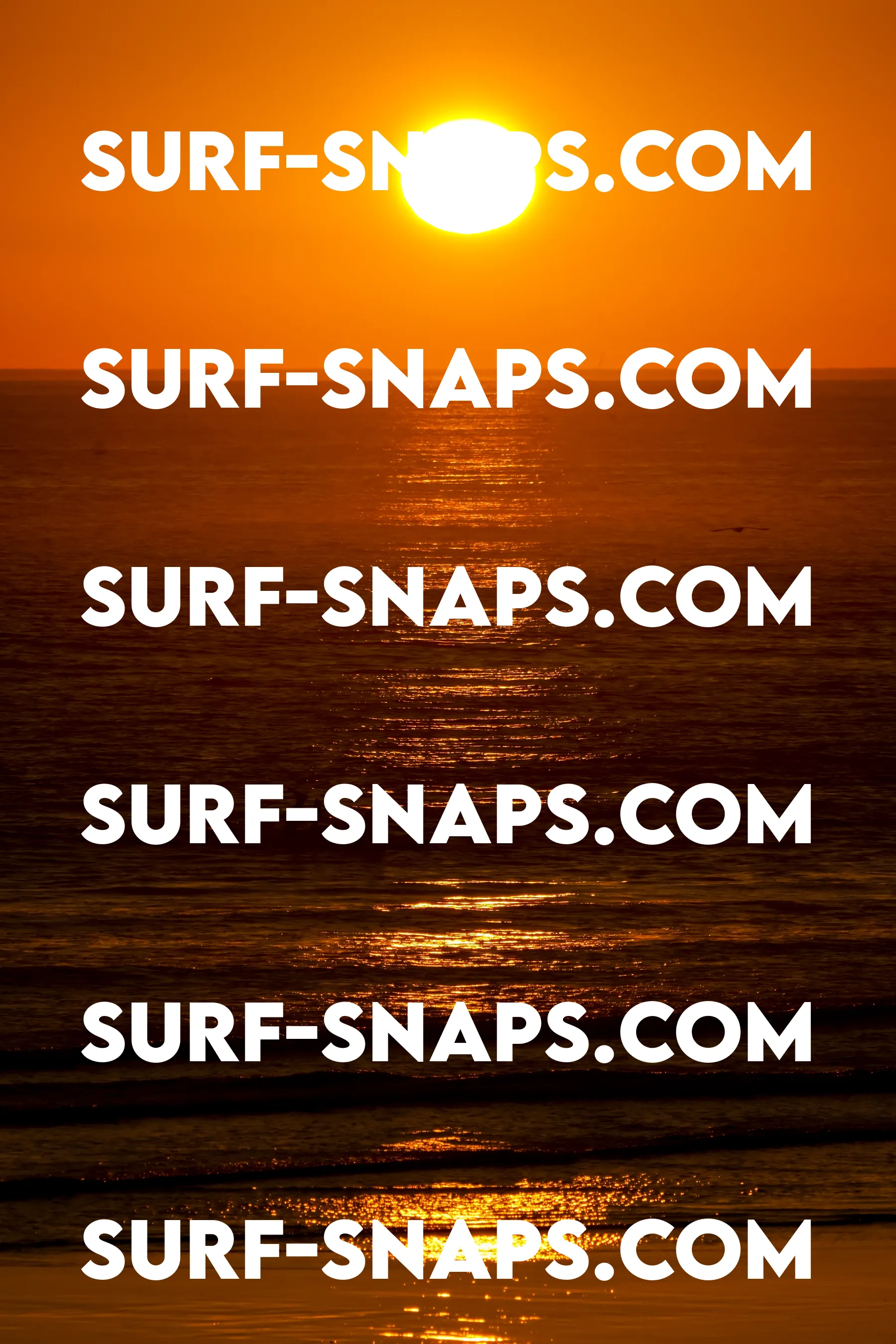 Tourmaline Surfing Park photo 435