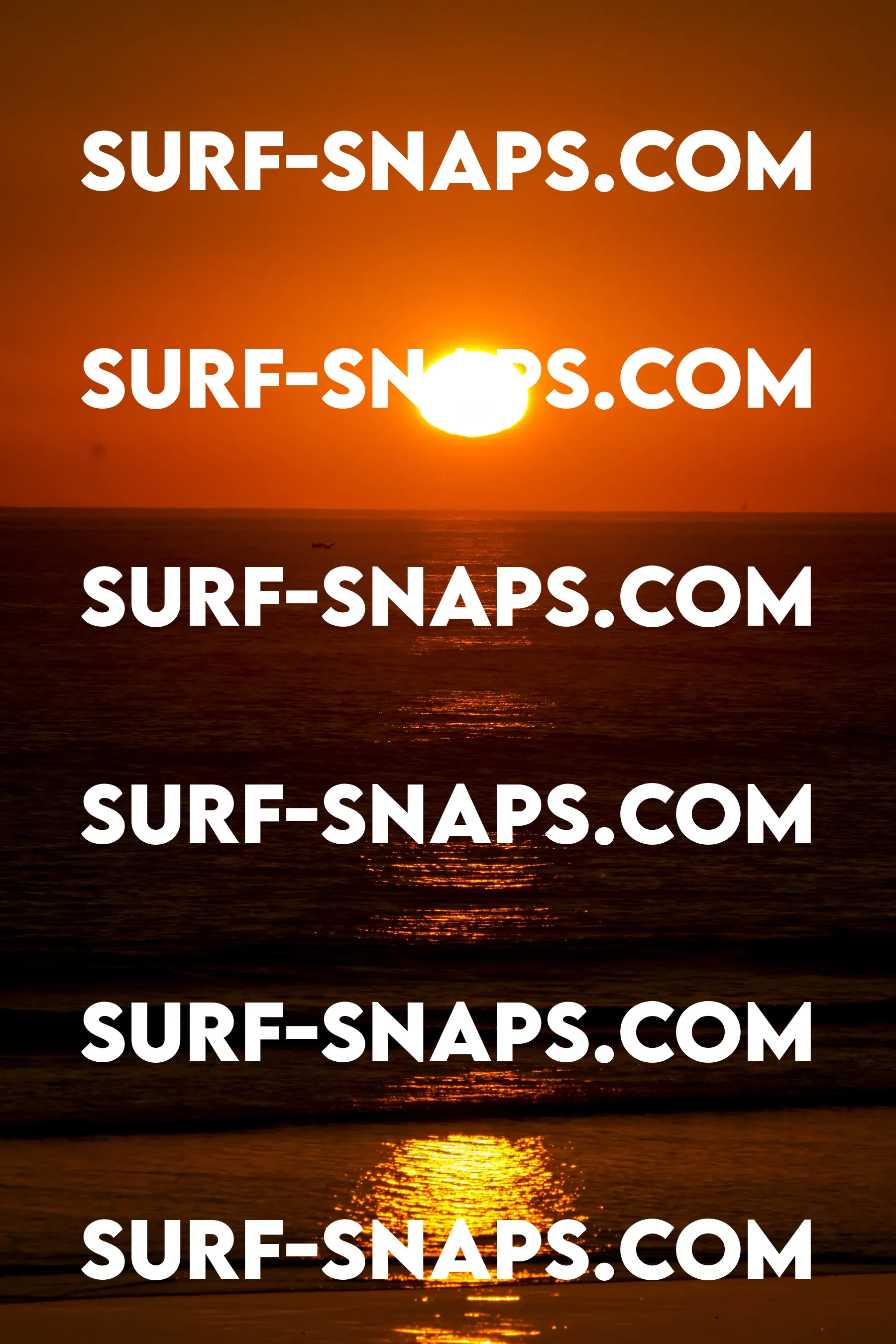 Tourmaline Surfing Park photo 436