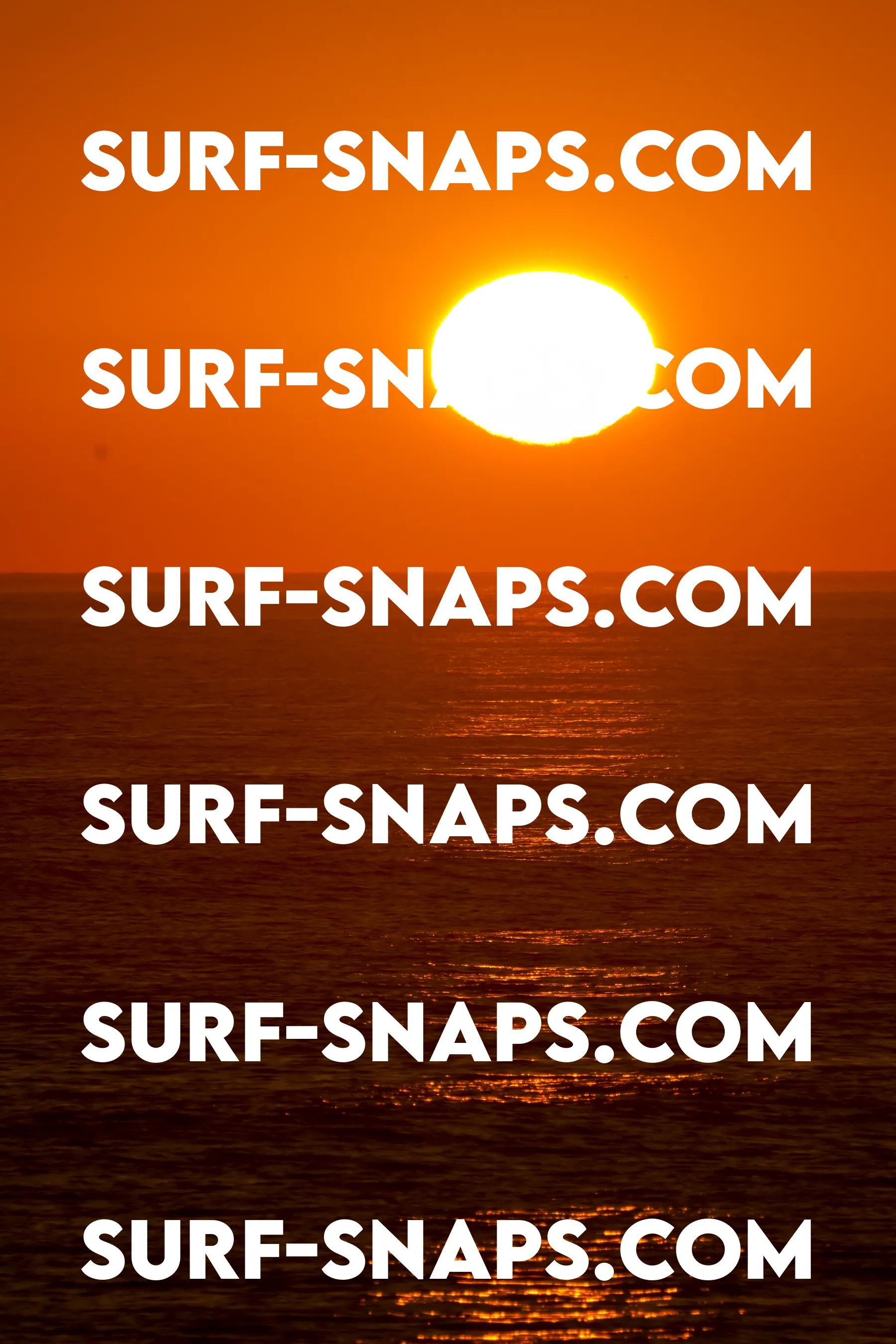 Tourmaline Surfing Park photo 440