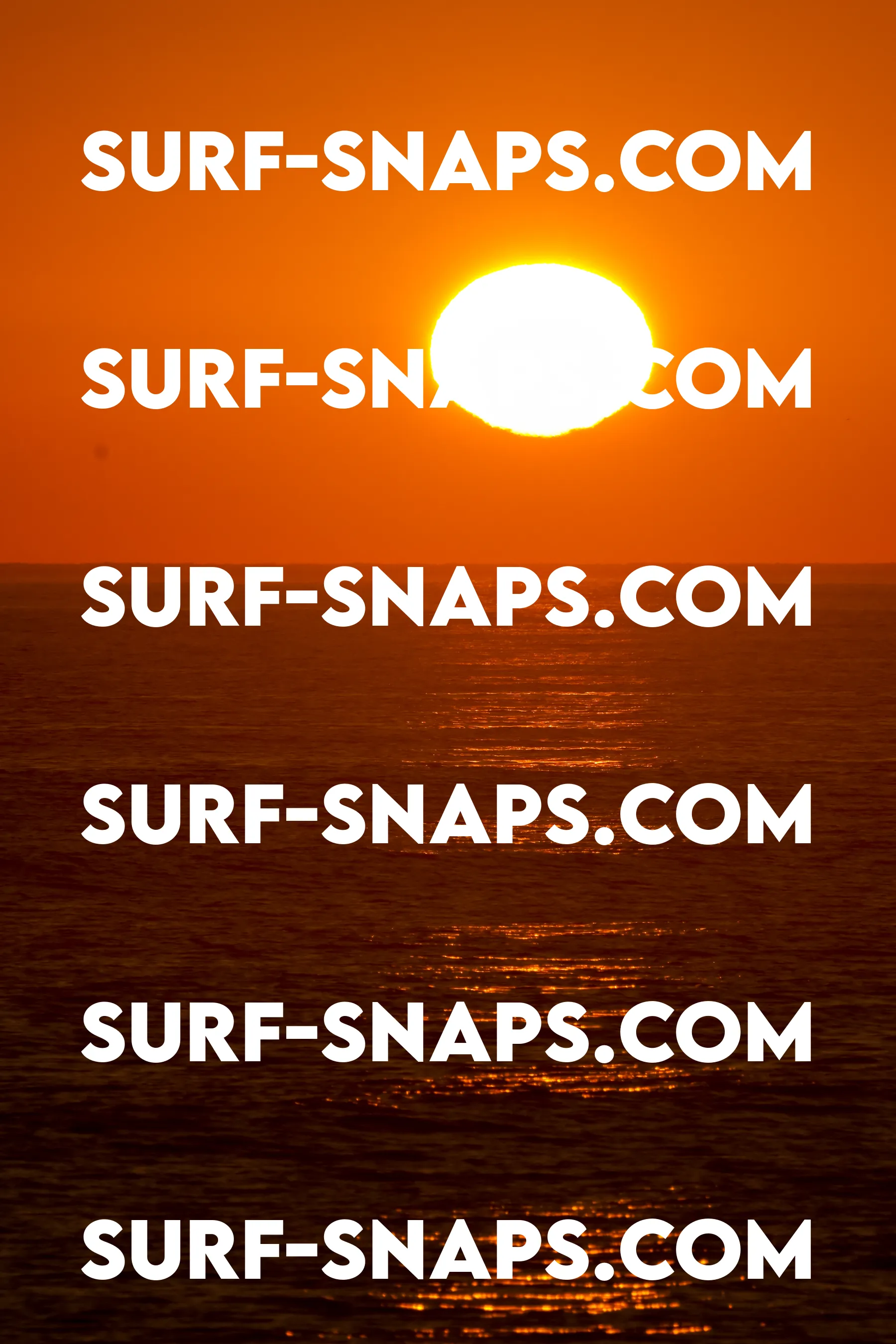 Tourmaline Surfing Park photo 441