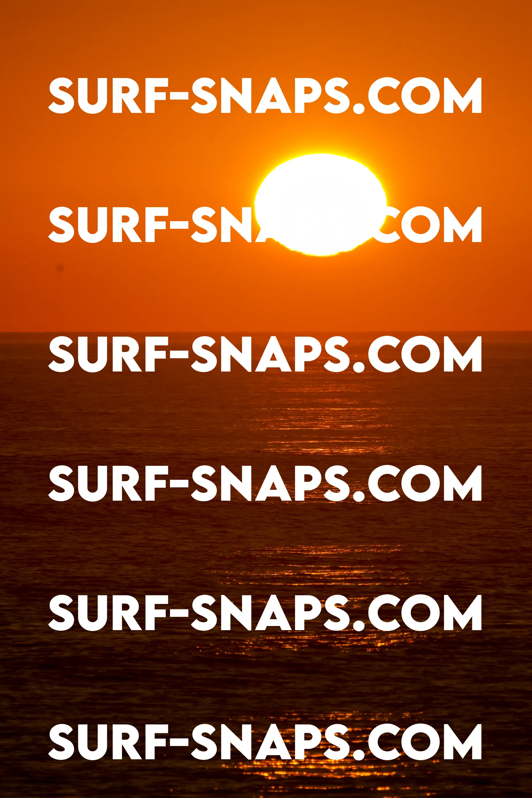 Tourmaline Surfing Park photo 442