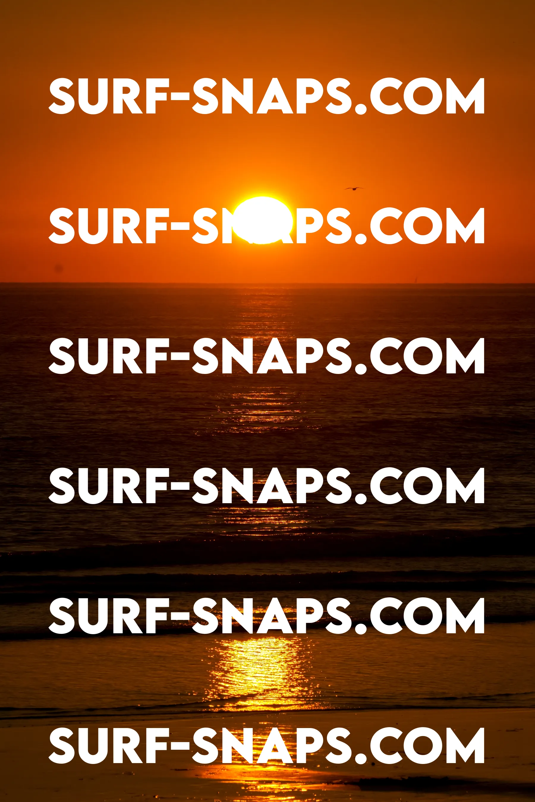 Tourmaline Surfing Park photo 439