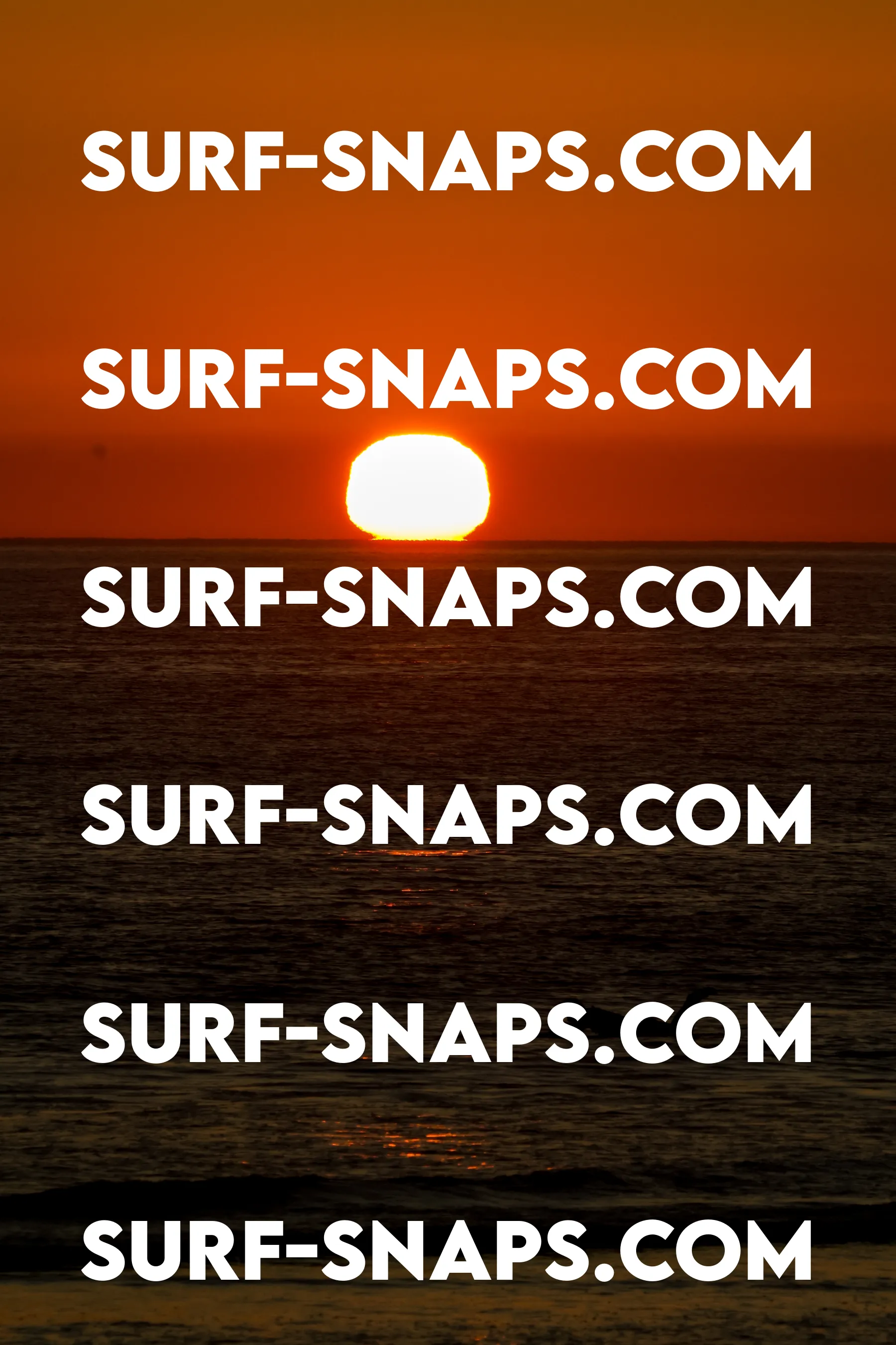 Tourmaline Surfing Park photo 444