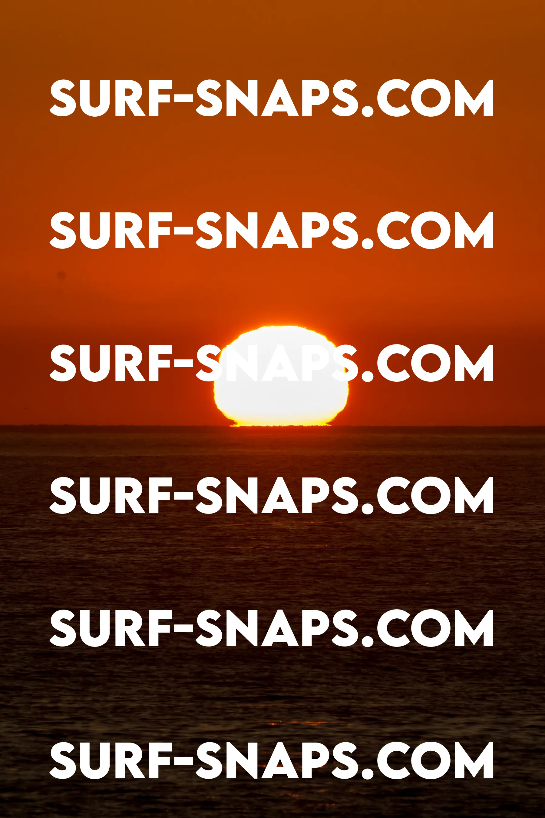 Tourmaline Surfing Park photo 445