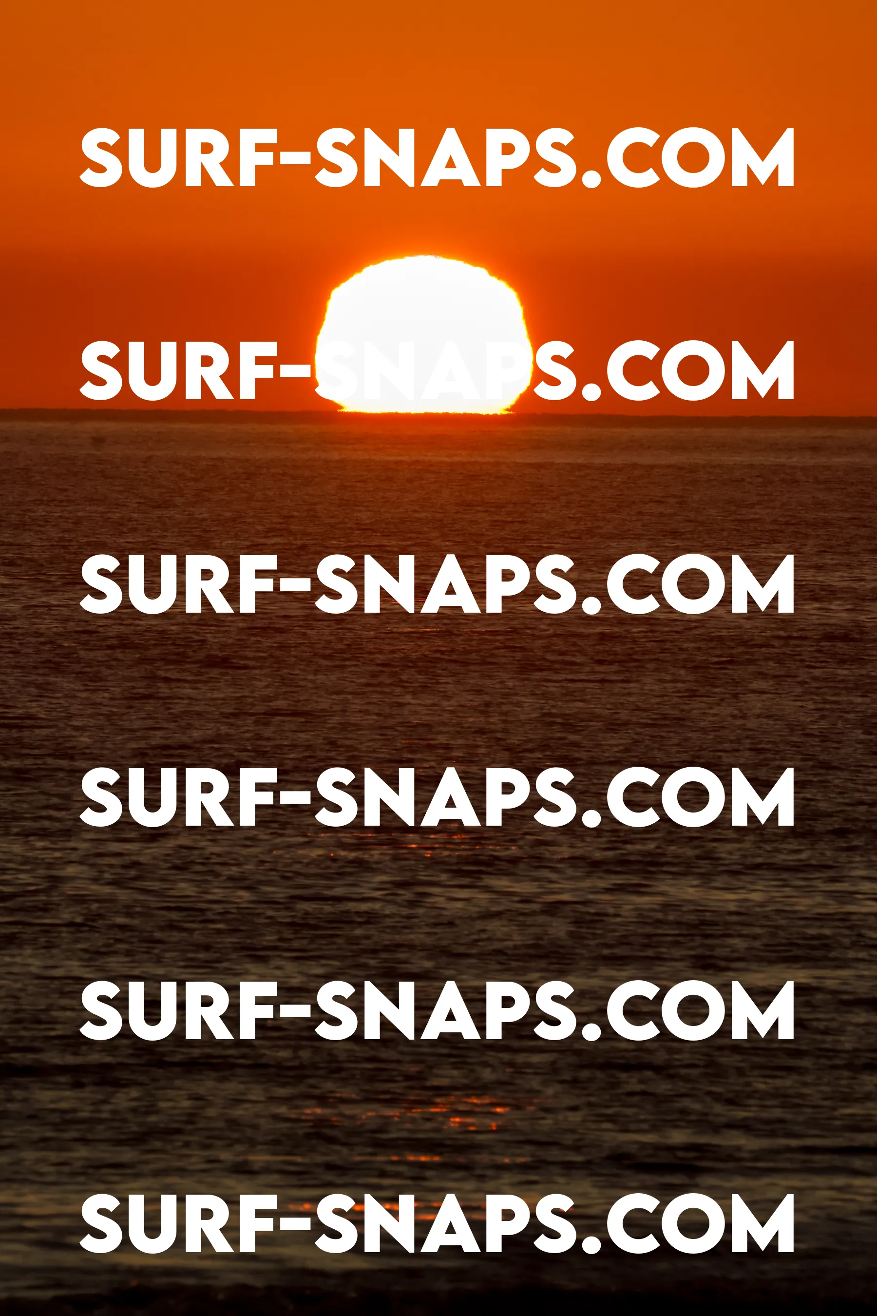 Tourmaline Surfing Park photo 446