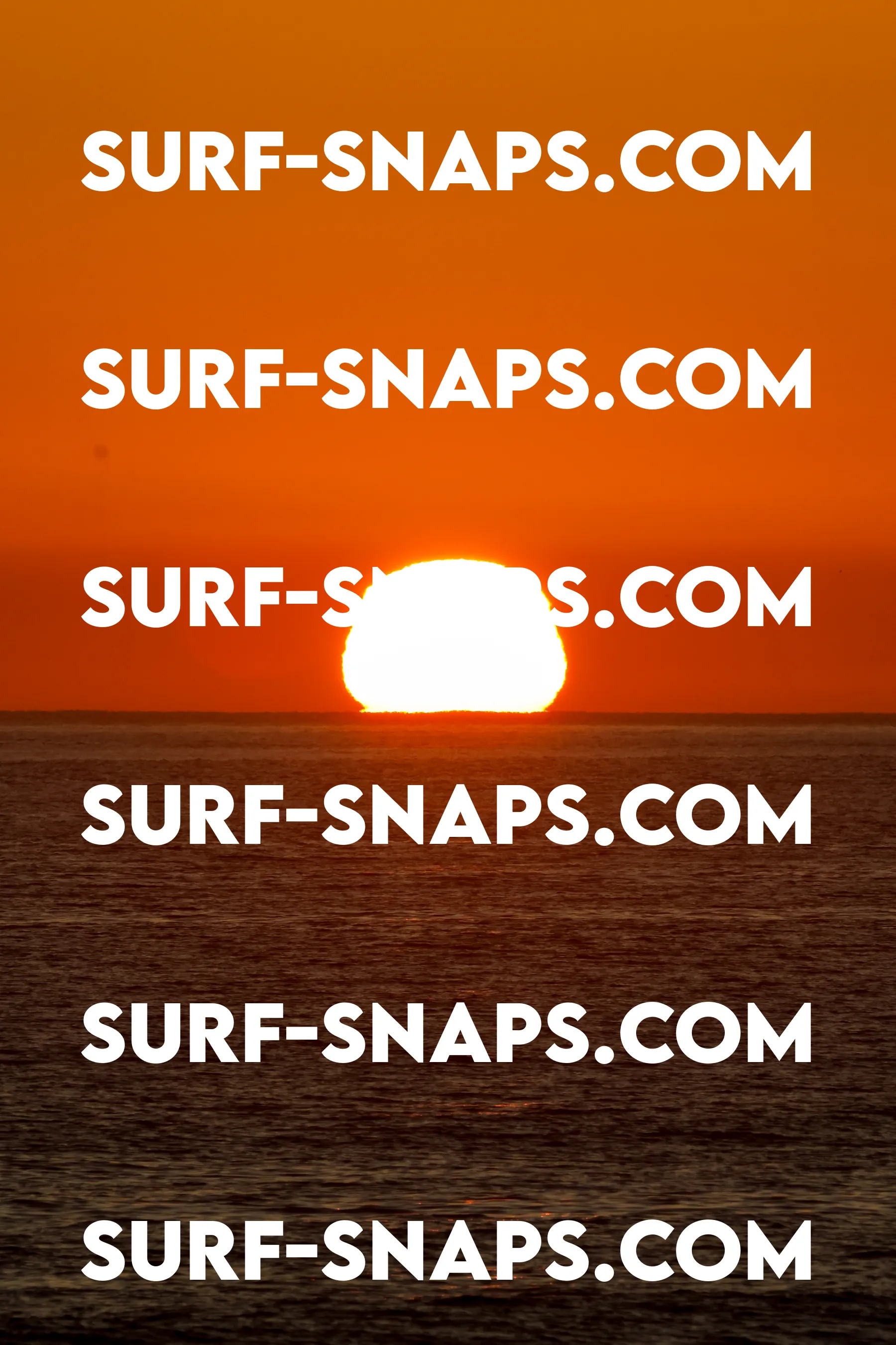 Tourmaline Surfing Park photo 447