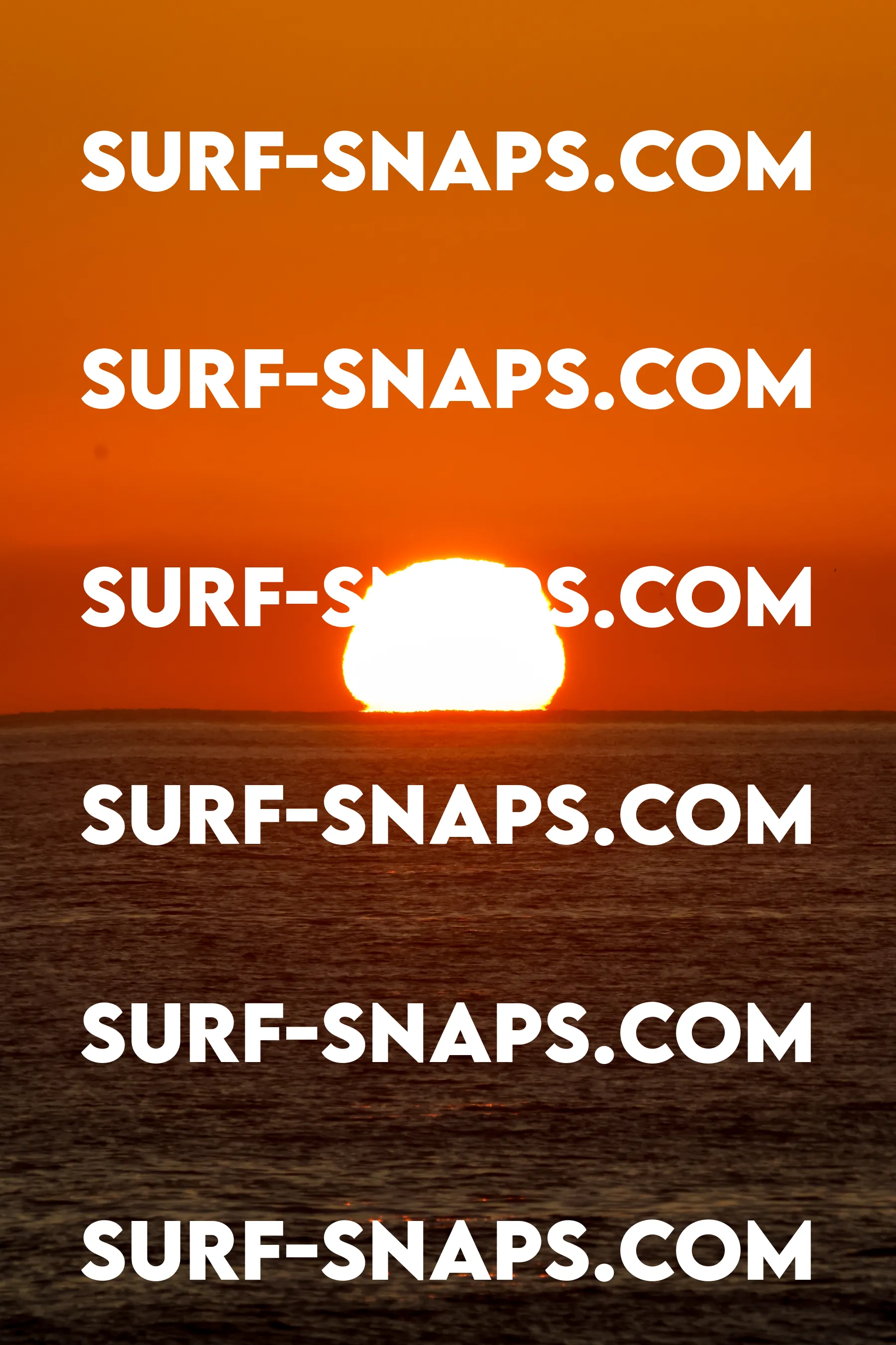 Tourmaline Surfing Park photo 448