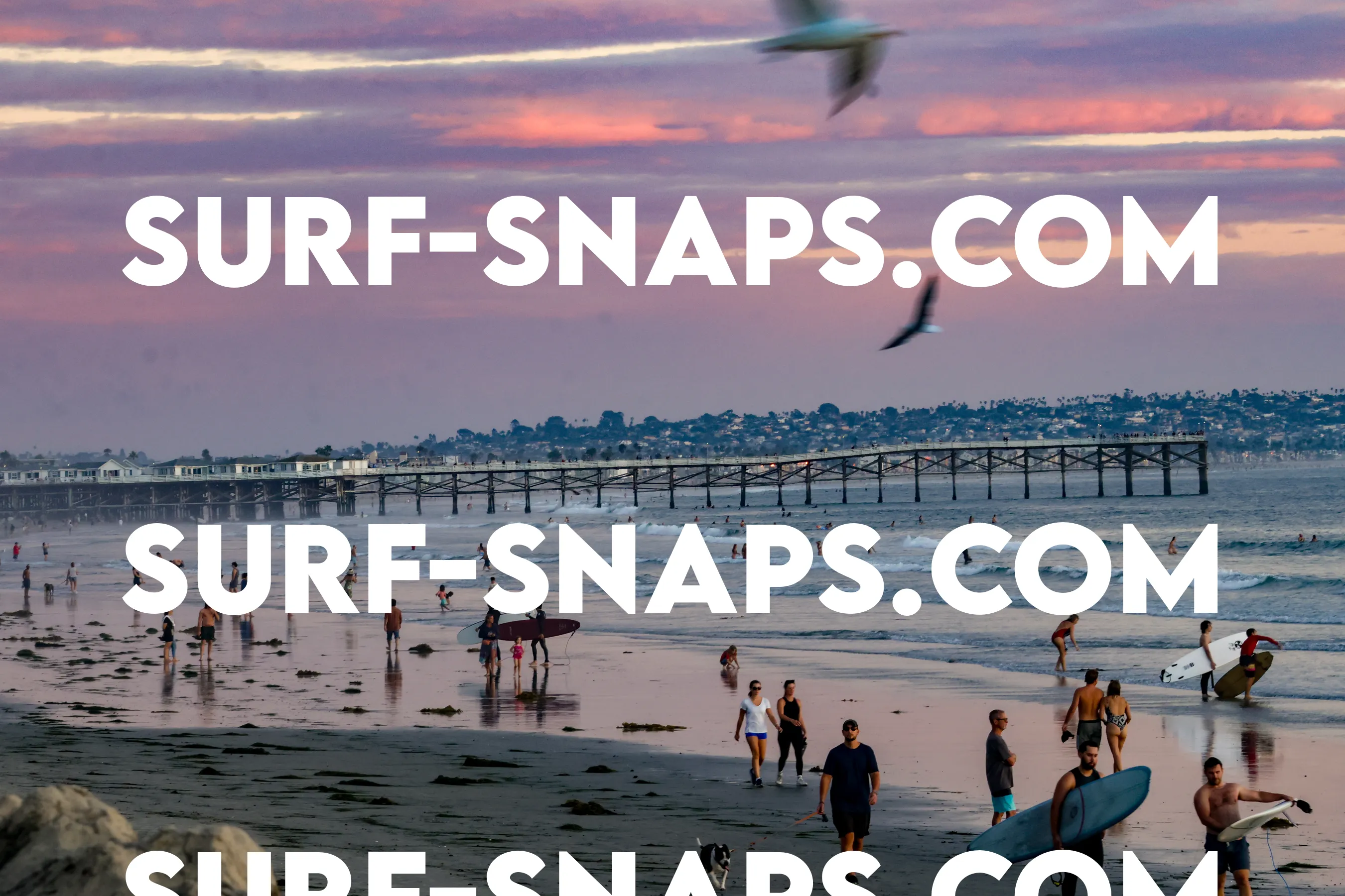 Tourmaline Surfing Park photo 451