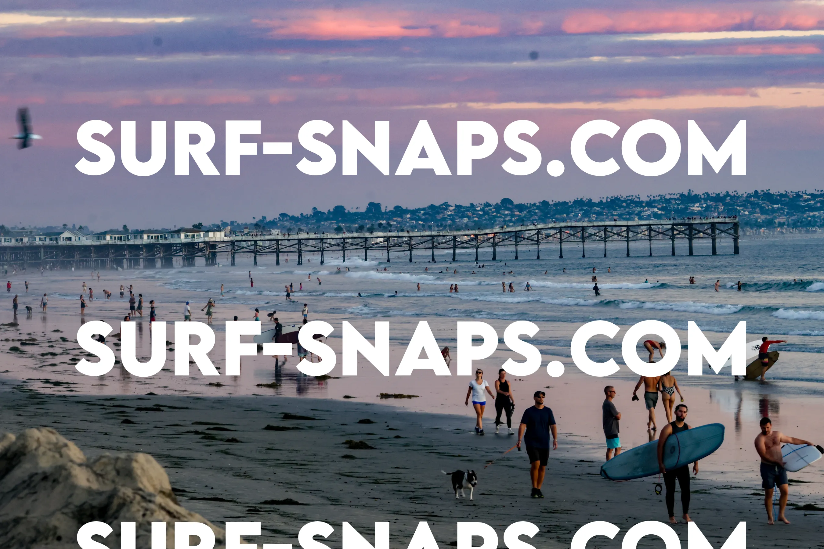 Tourmaline Surfing Park photo 452