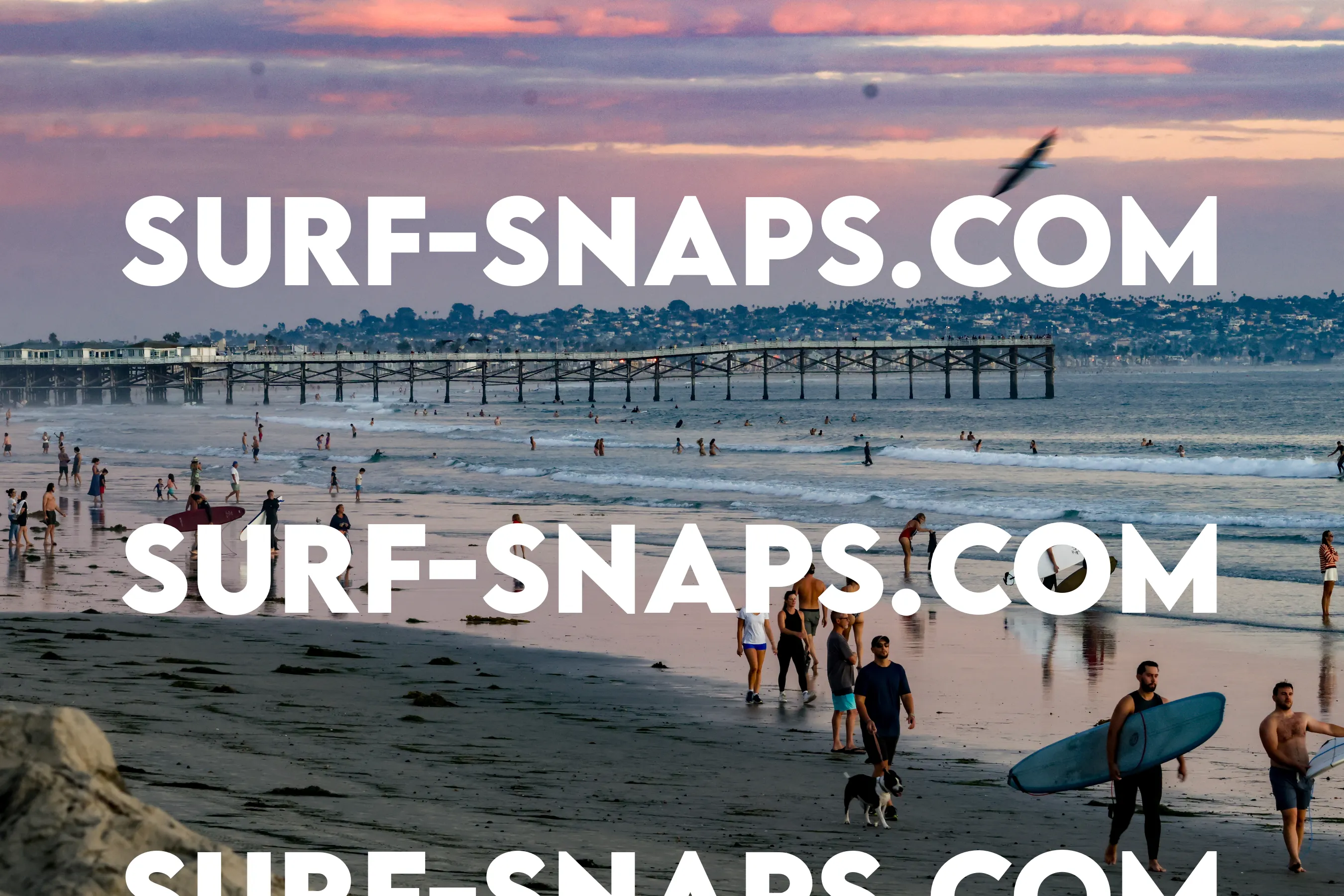 Tourmaline Surfing Park photo 453