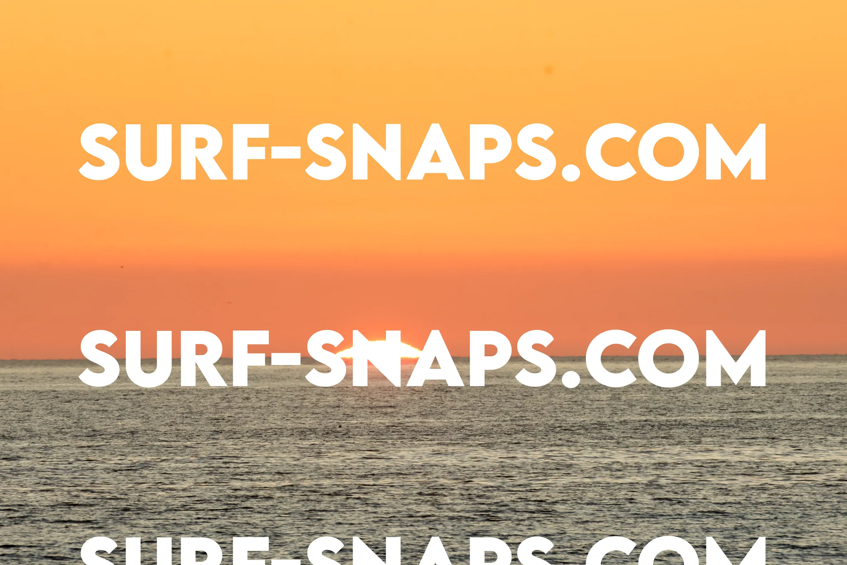 Tourmaline Surfing Park photo 457