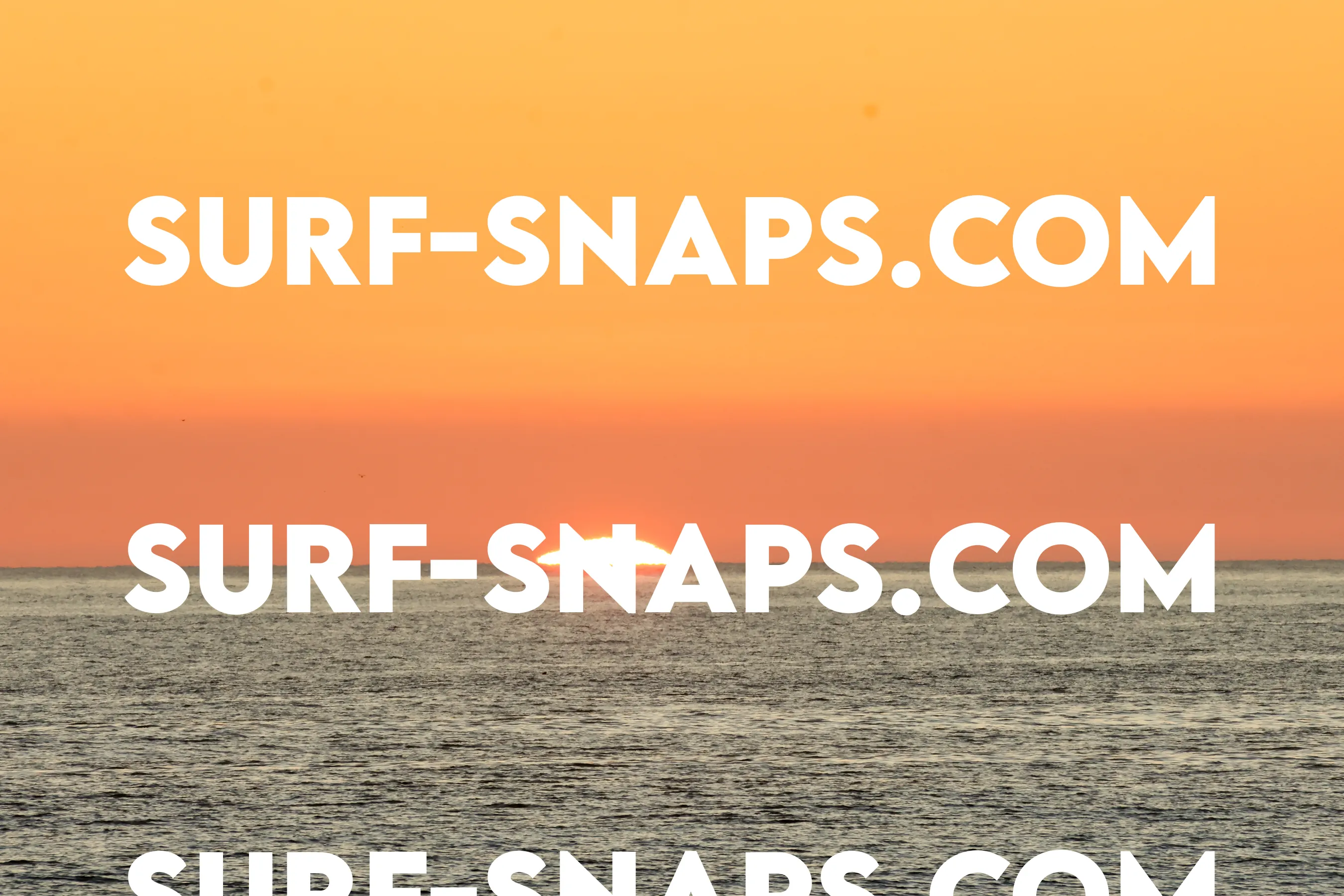 Tourmaline Surfing Park photo 458