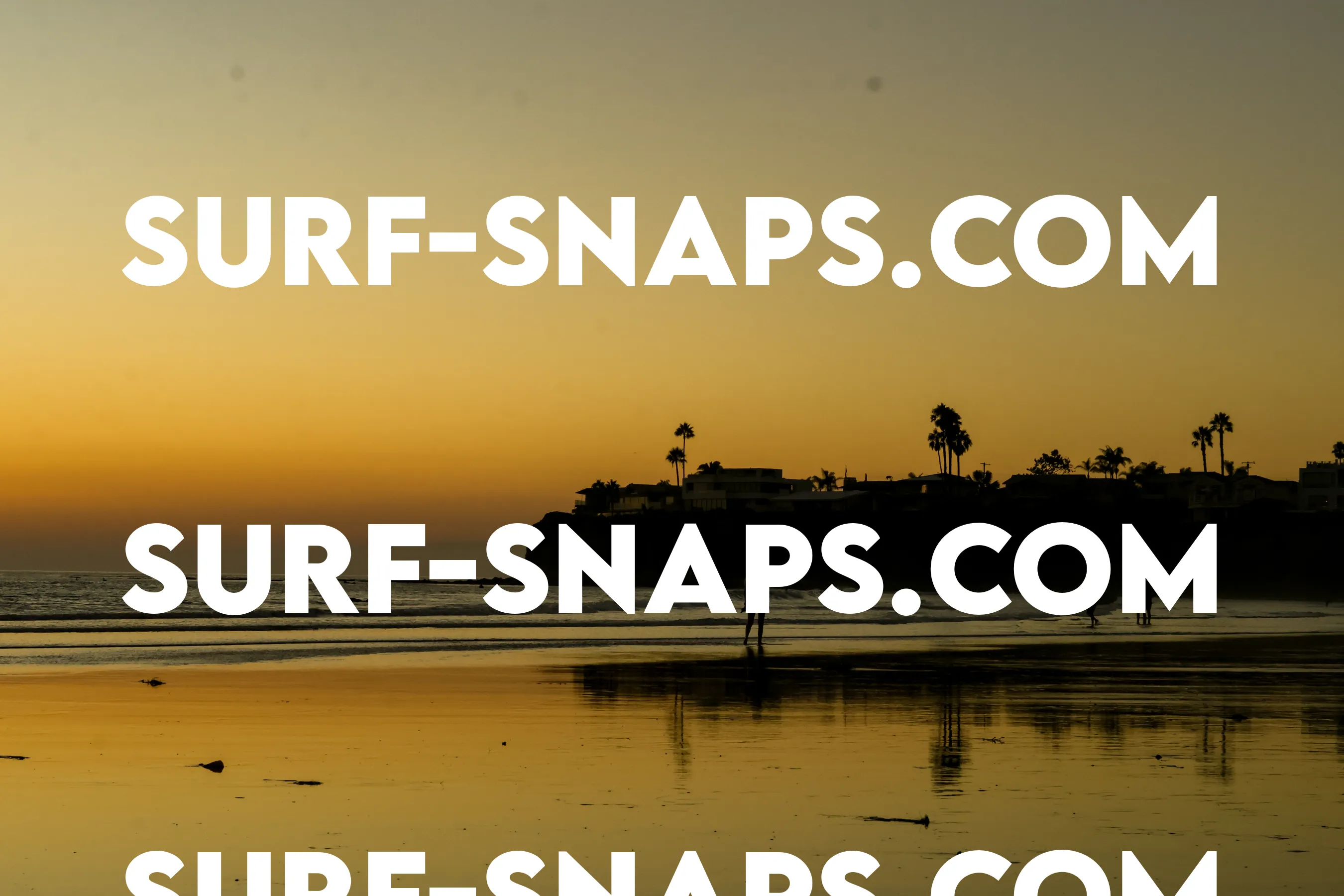 Tourmaline Surfing Park photo 465