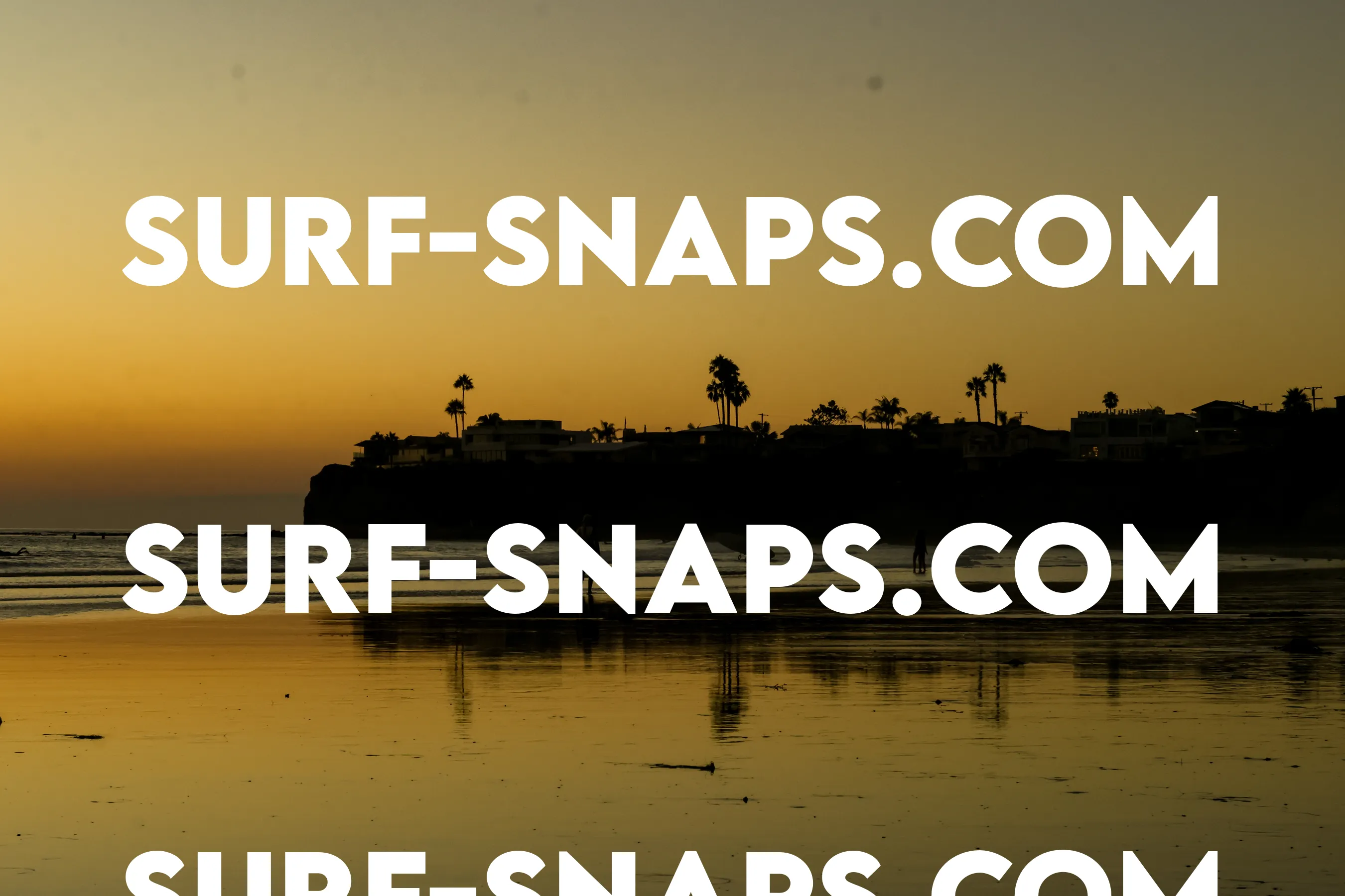 Tourmaline Surfing Park photo 466