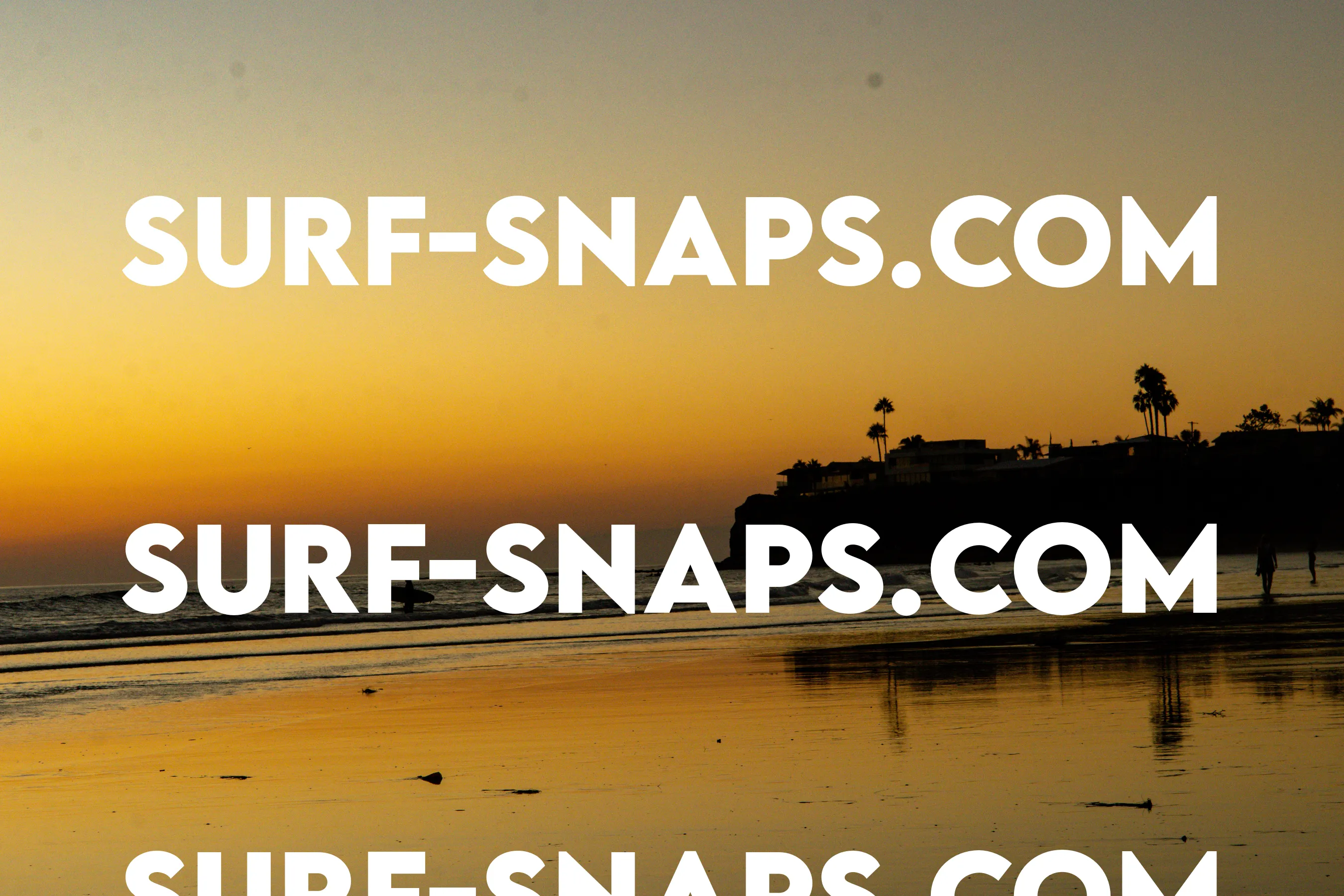 Tourmaline Surfing Park photo 470
