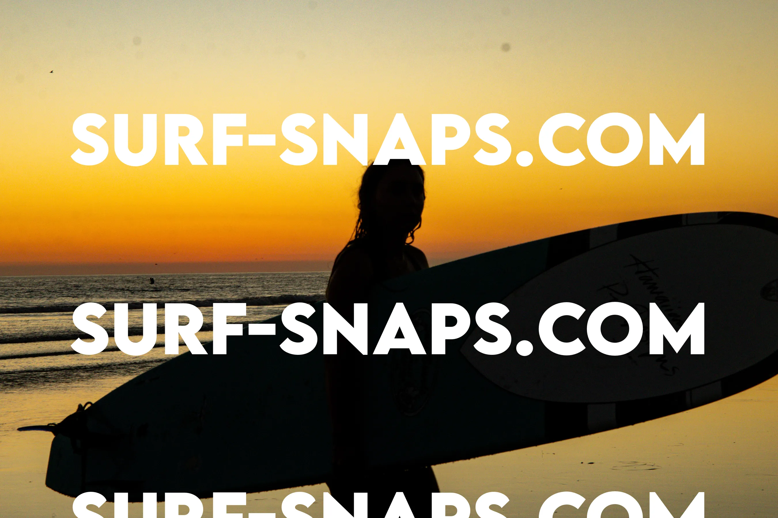 Tourmaline Surfing Park photo 473