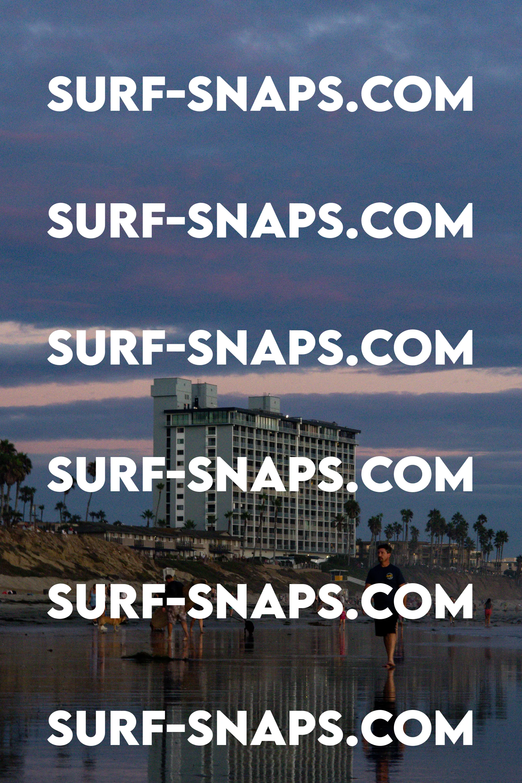 Tourmaline Surfing Park photo 478