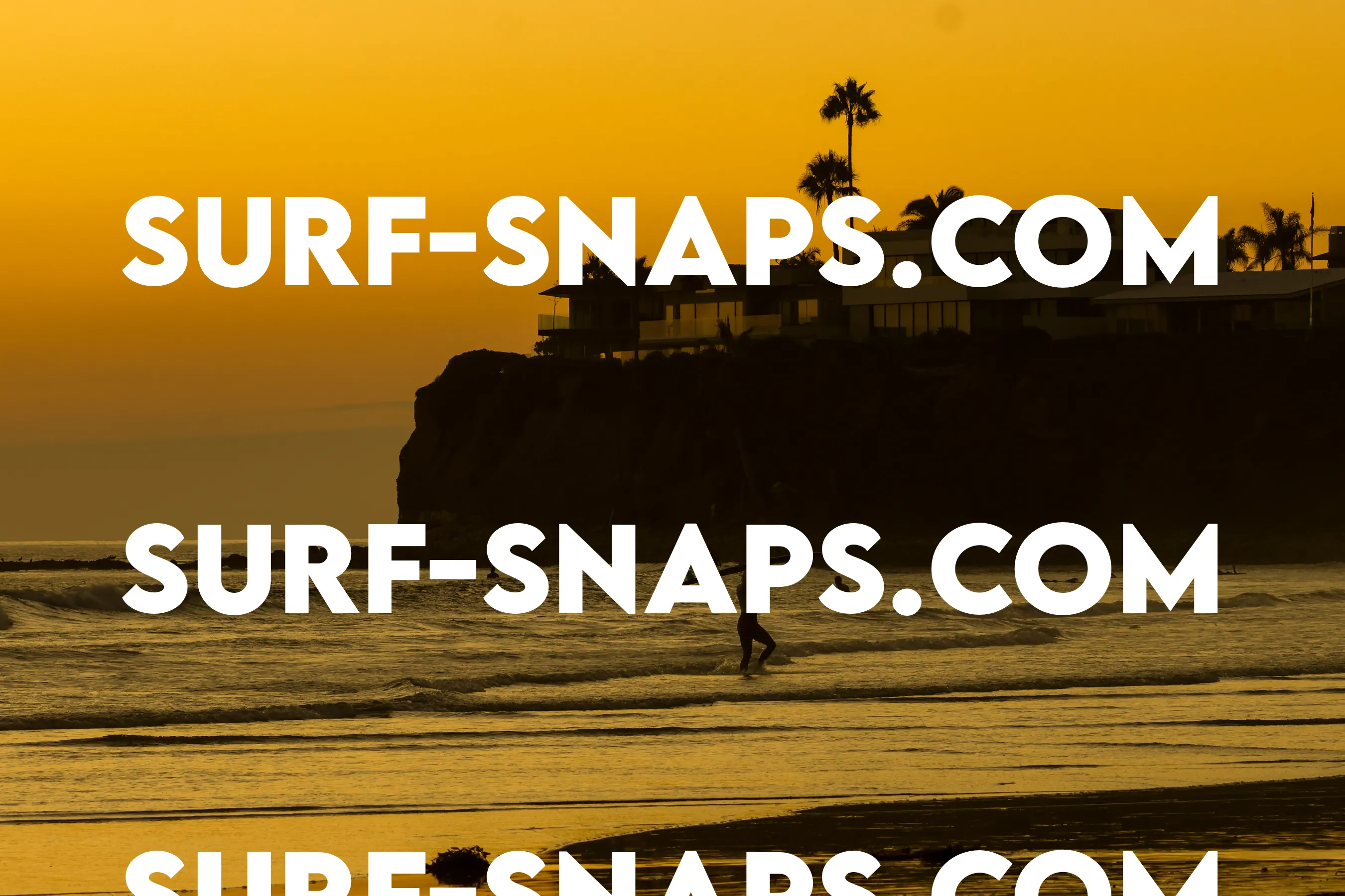 Tourmaline Surfing Park photo 485