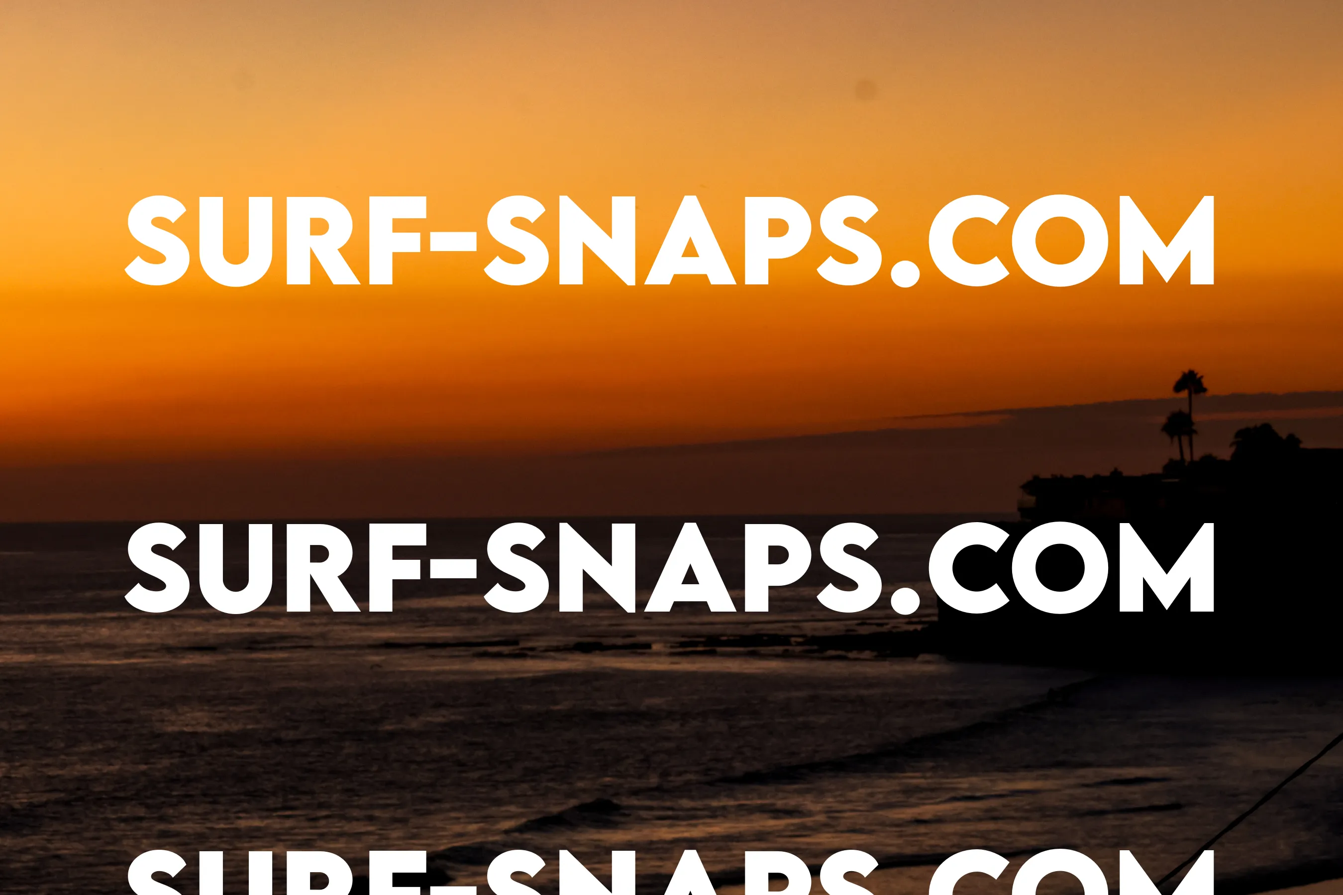 Tourmaline Surfing Park photo 489