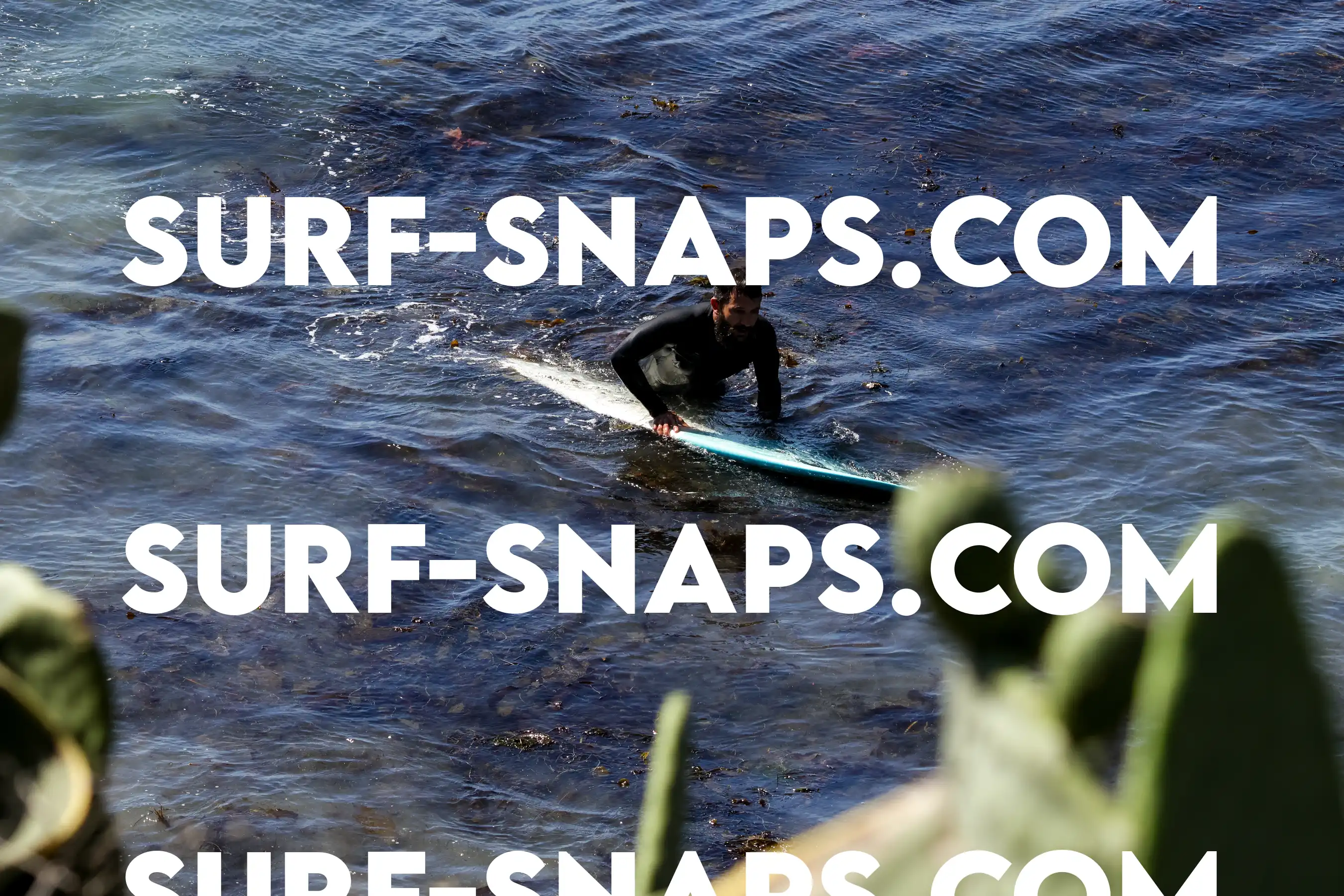 Tourmaline Surfing Park photo 6