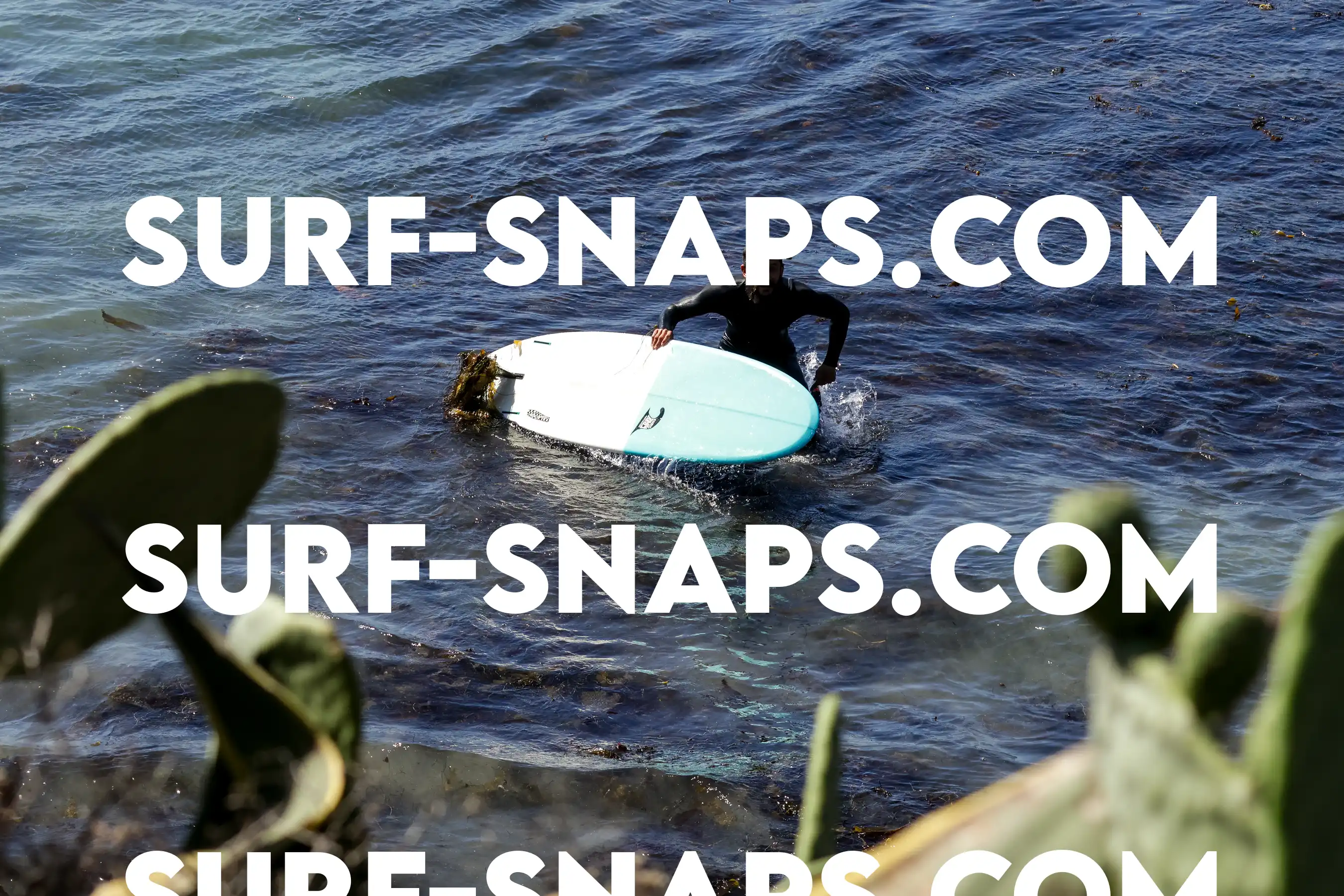 Tourmaline Surfing Park photo 7