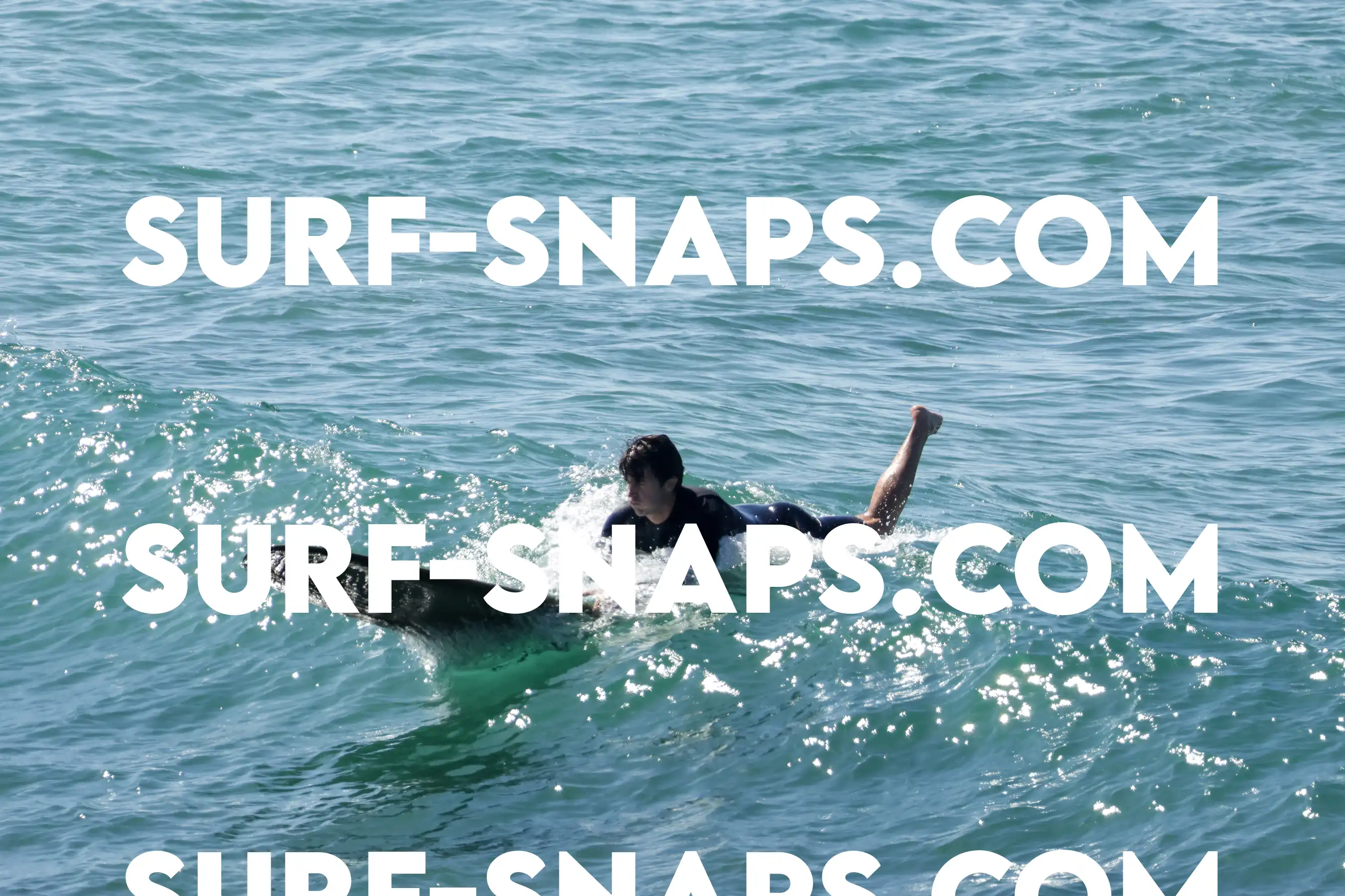 Tourmaline Surfing Park photo 17