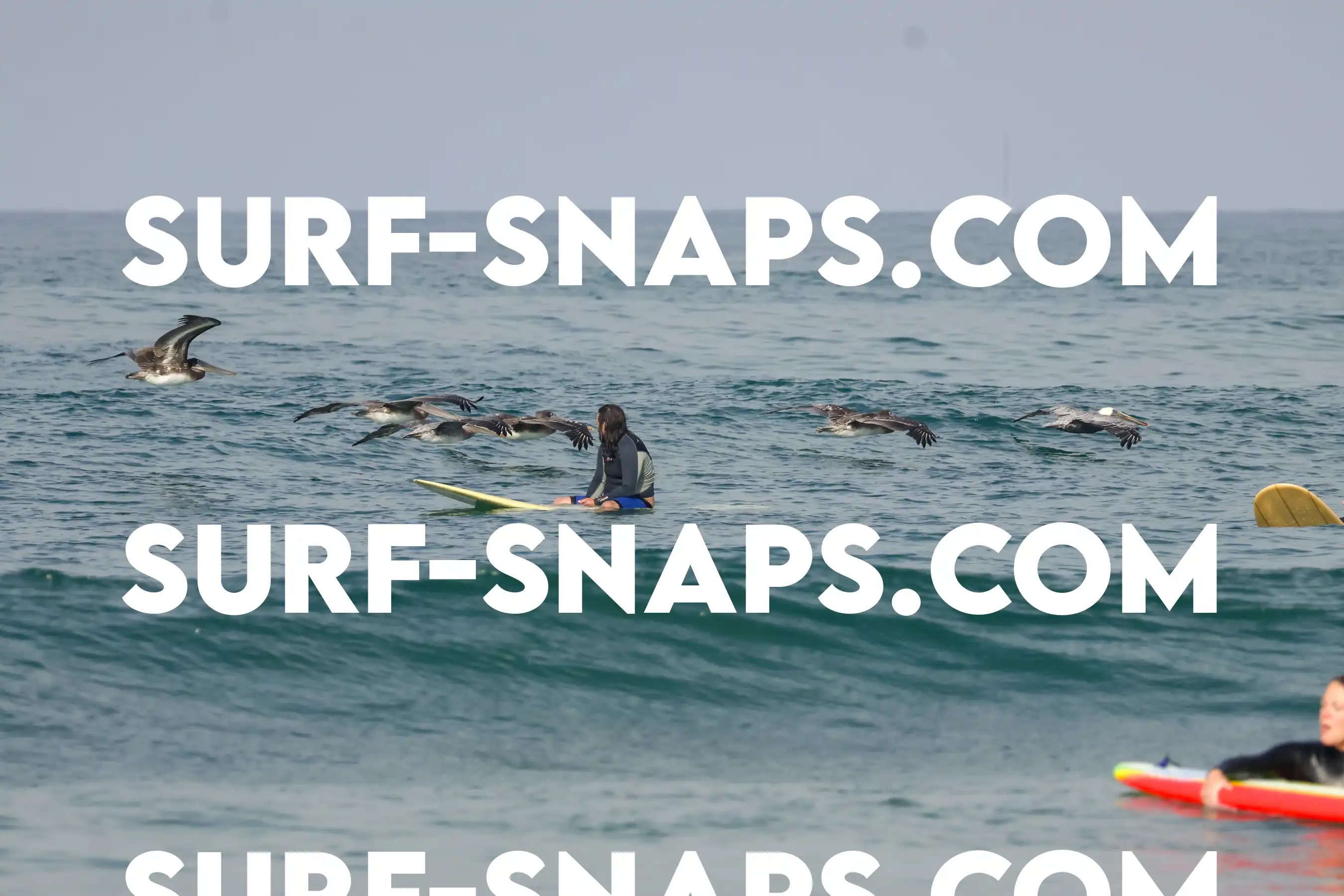 Tourmaline Surfing Park photo 380