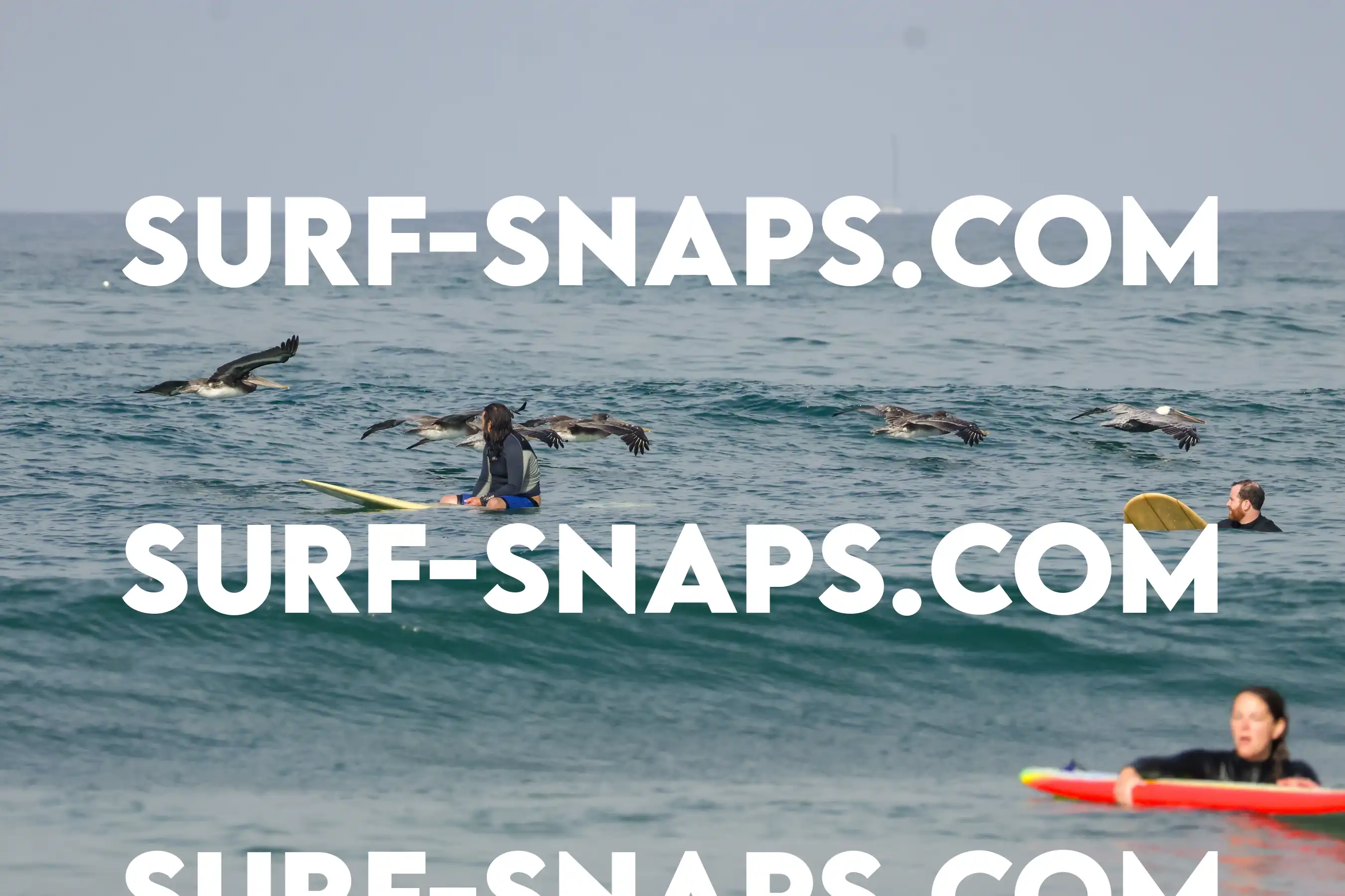 Tourmaline Surfing Park photo 381