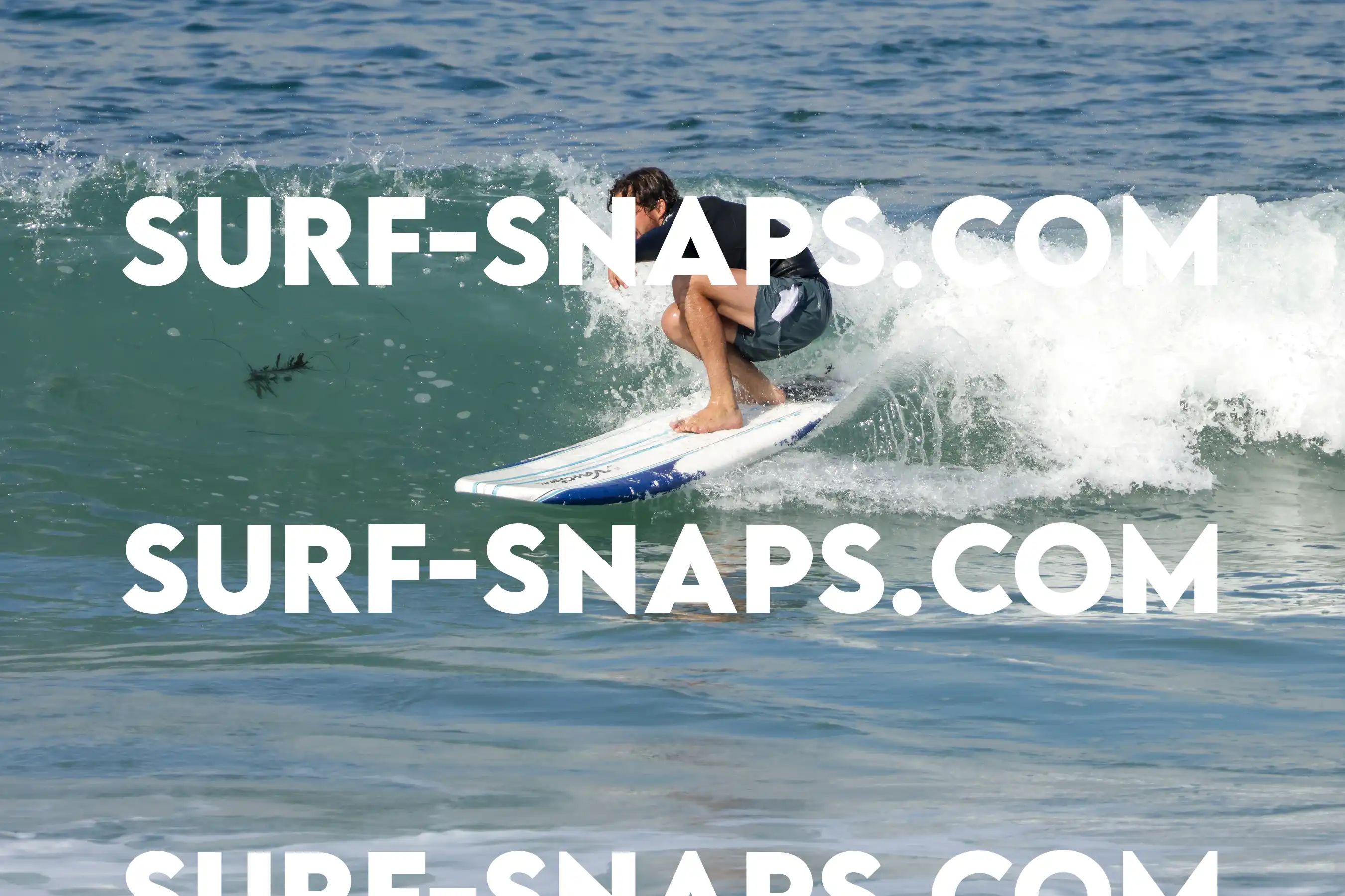 Tourmaline Surfing Park photo 130