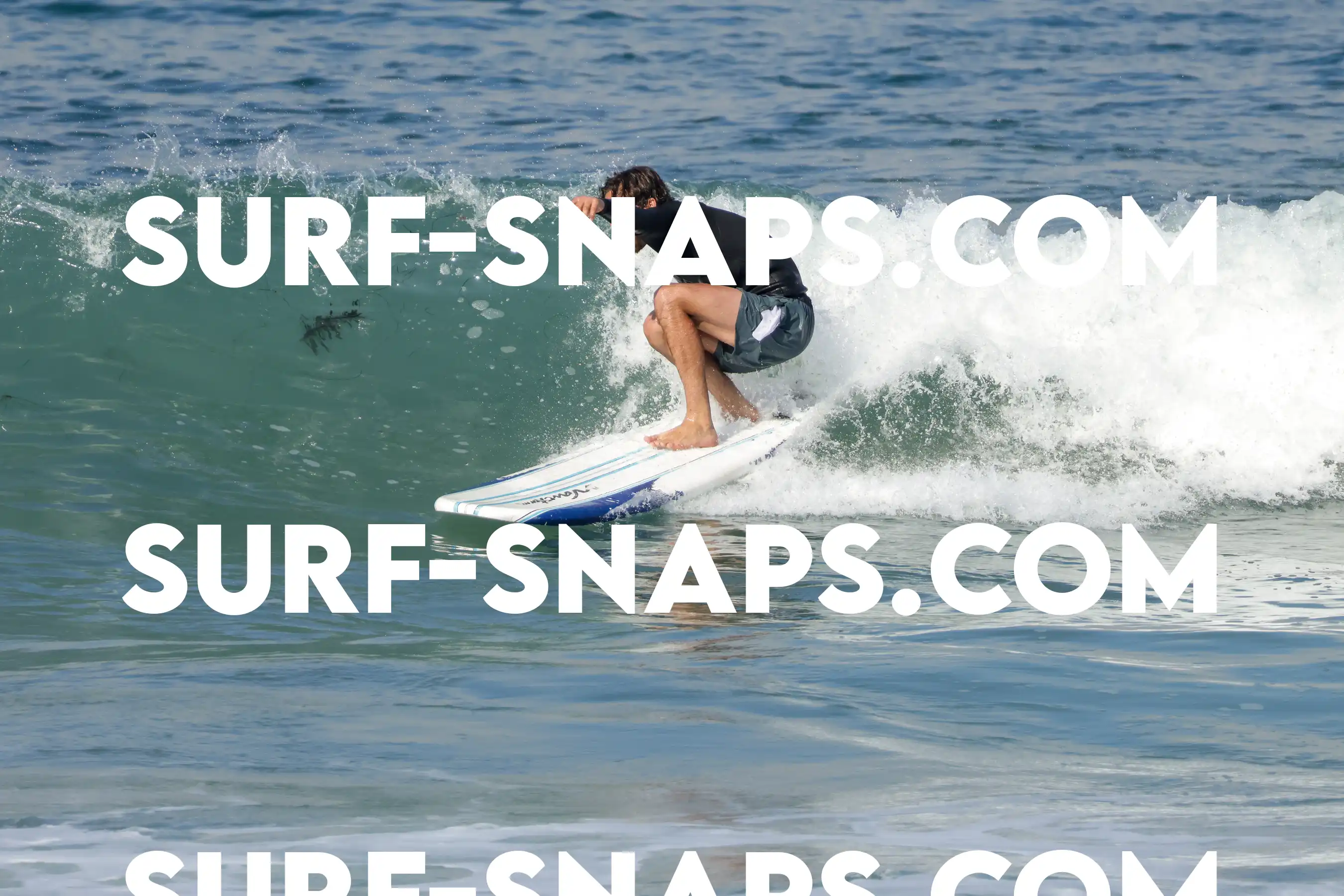 Tourmaline Surfing Park photo 132