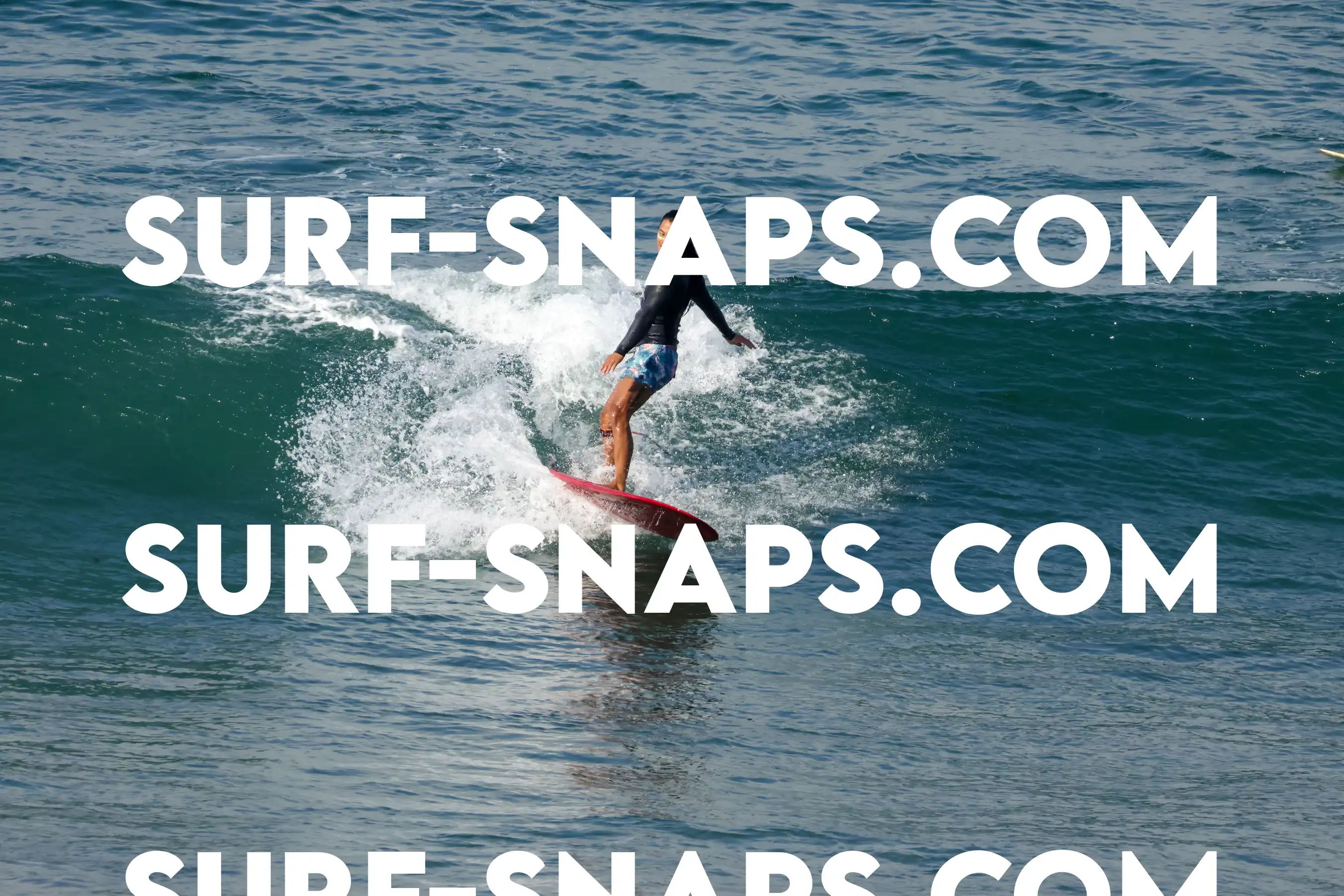 Tourmaline Surfing Park photo 164